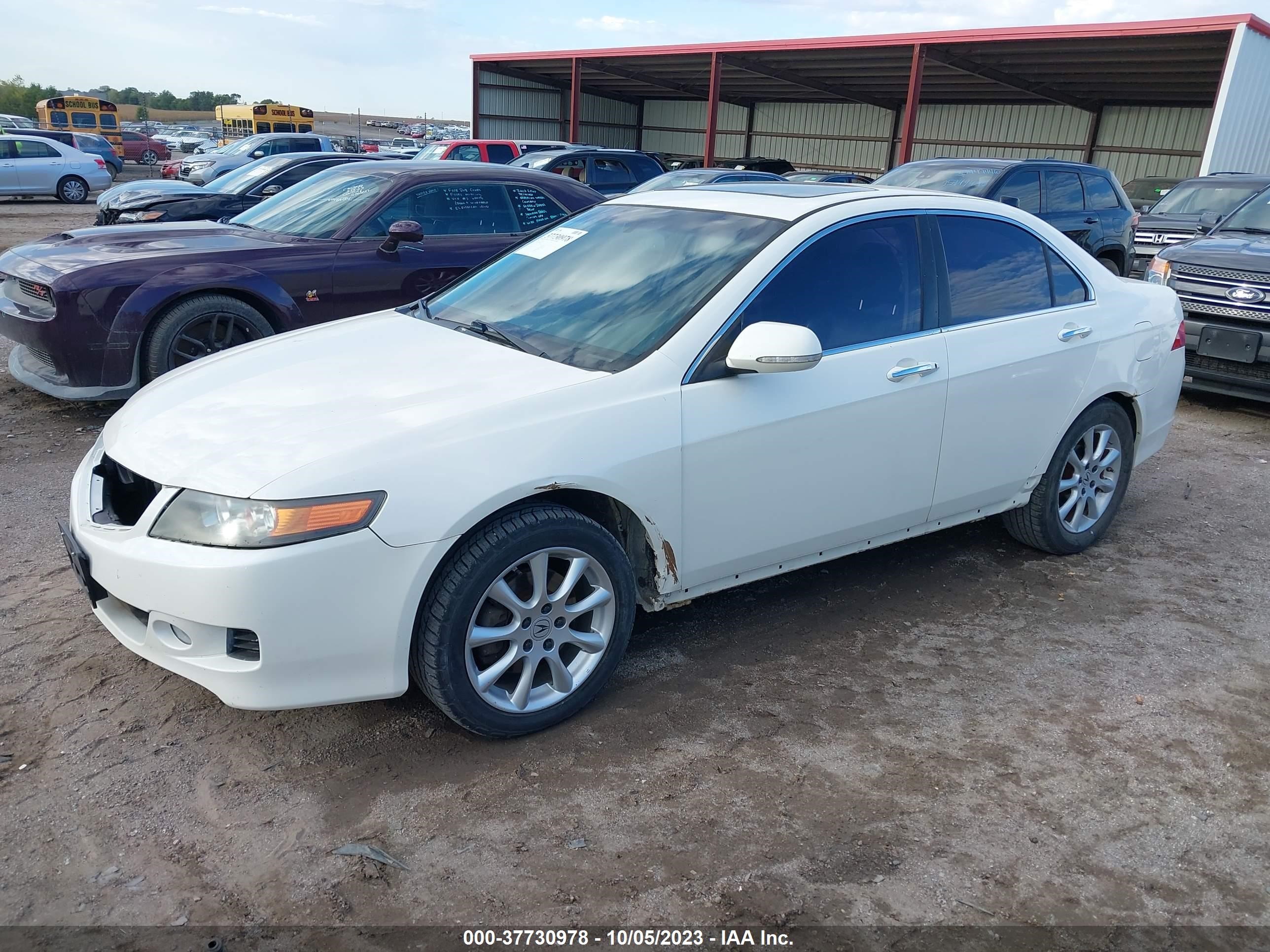 Photo 1 VIN: JH4CL96898C007334 - ACURA TSX 