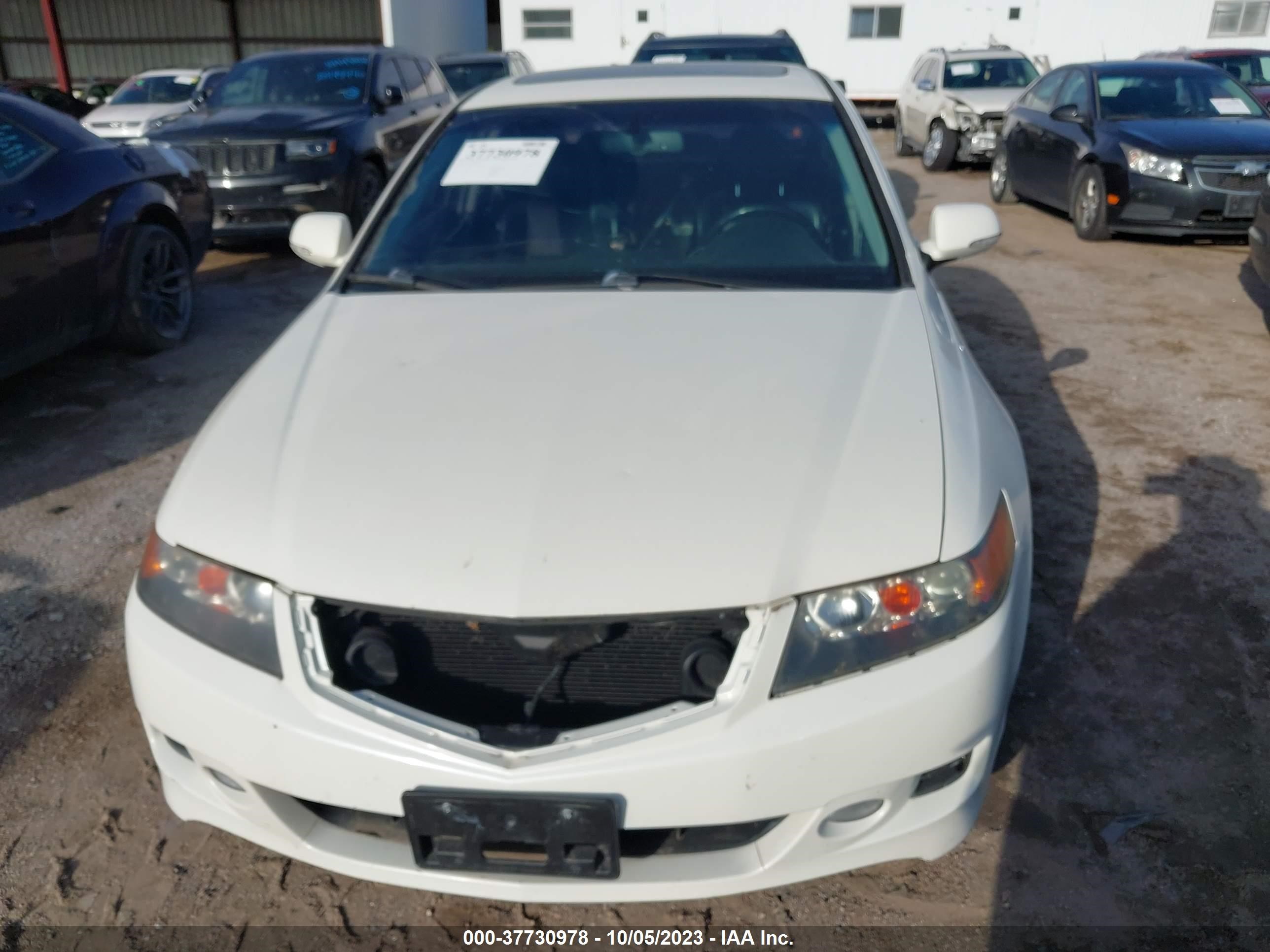 Photo 5 VIN: JH4CL96898C007334 - ACURA TSX 