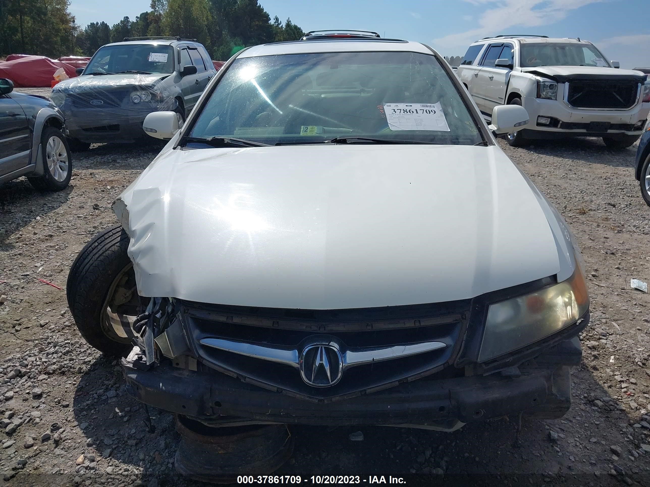 Photo 12 VIN: JH4CL96898C020066 - ACURA TSX 