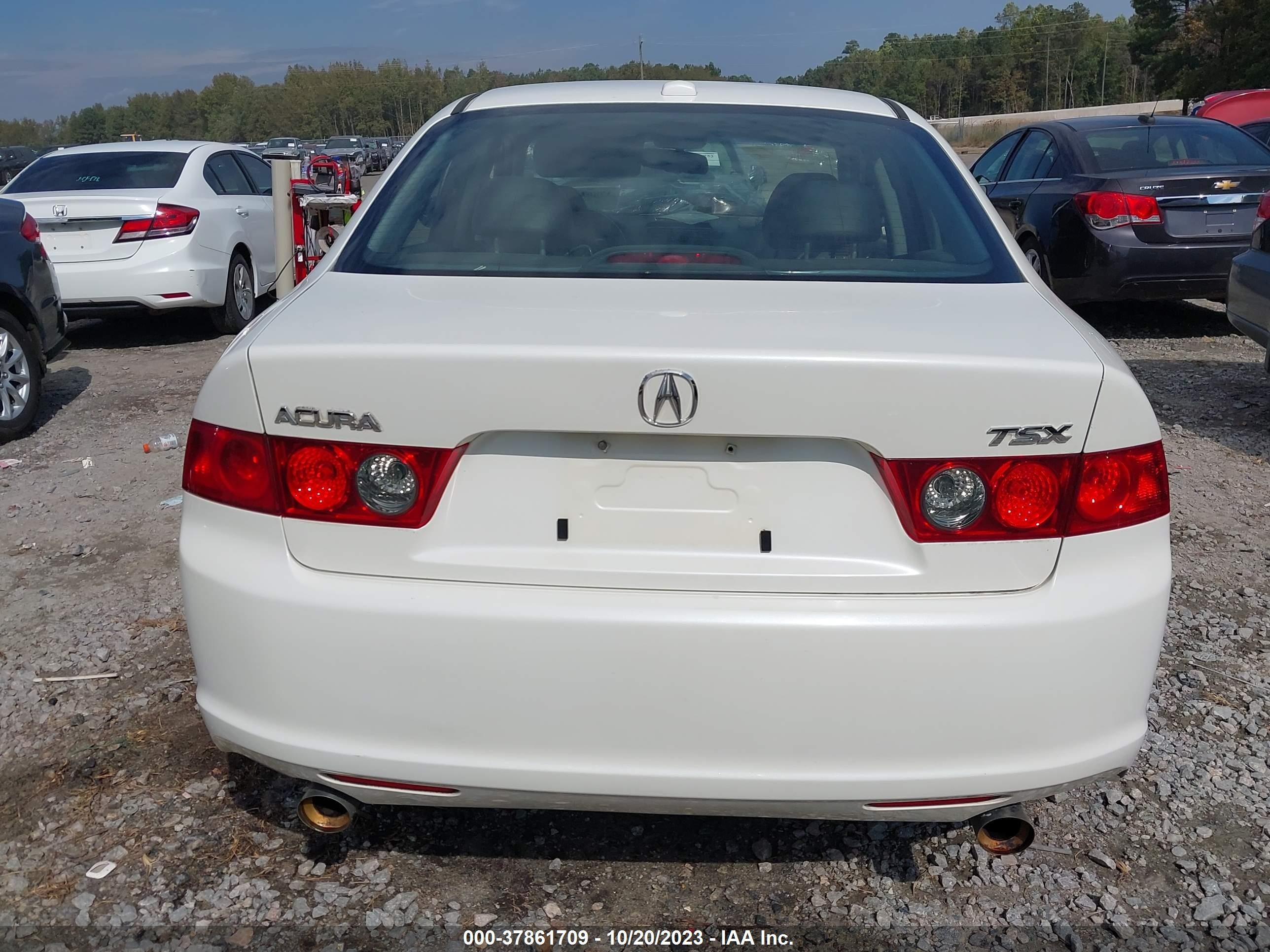 Photo 16 VIN: JH4CL96898C020066 - ACURA TSX 