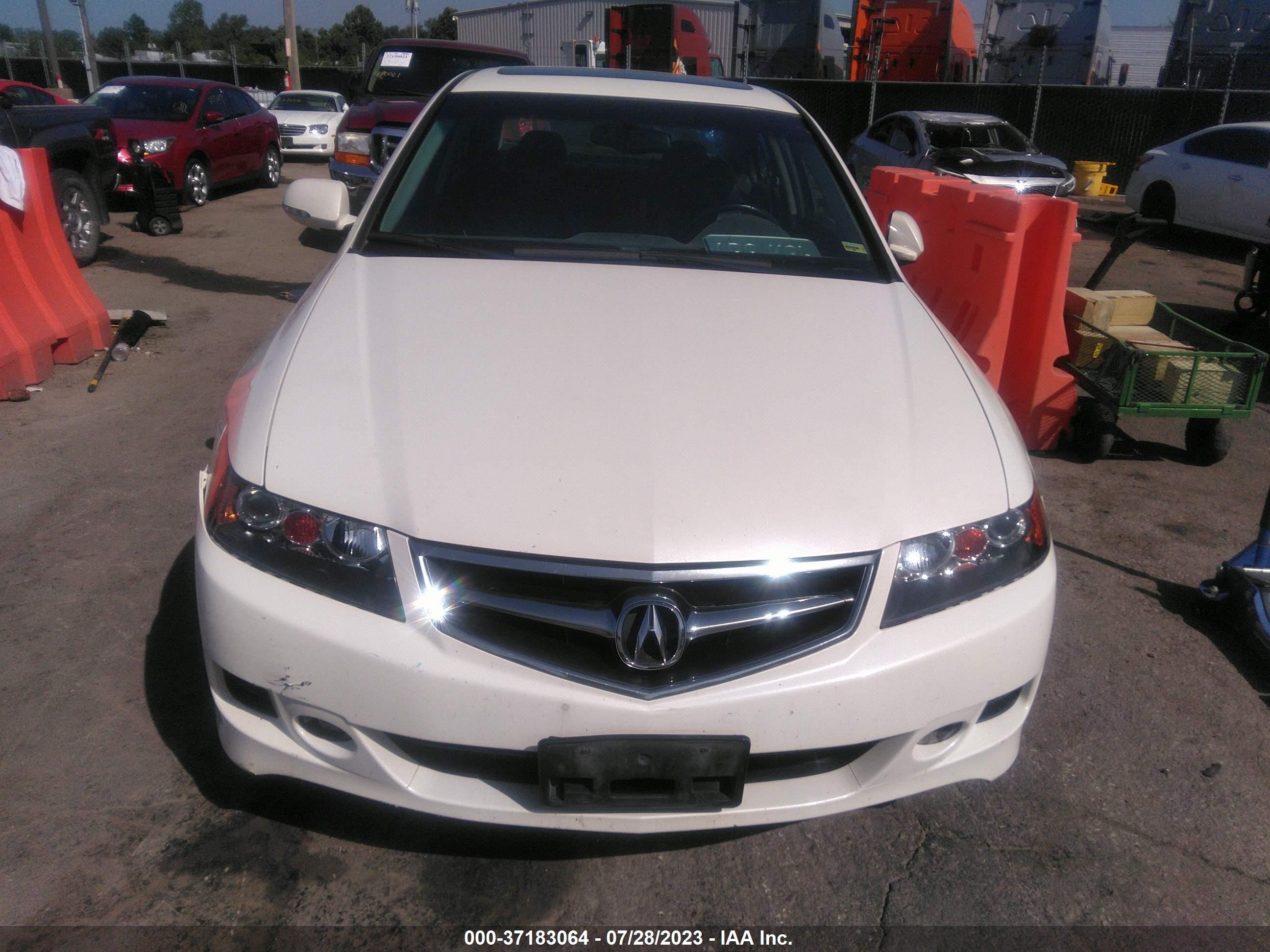 Photo 11 VIN: JH4CL968X6C036600 - ACURA TSX 