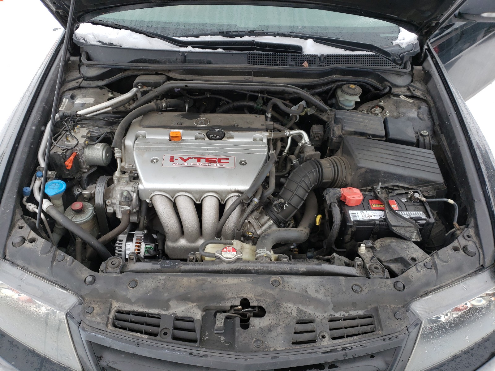 Photo 6 VIN: JH4CL968X8C002191 - ACURA TSX 