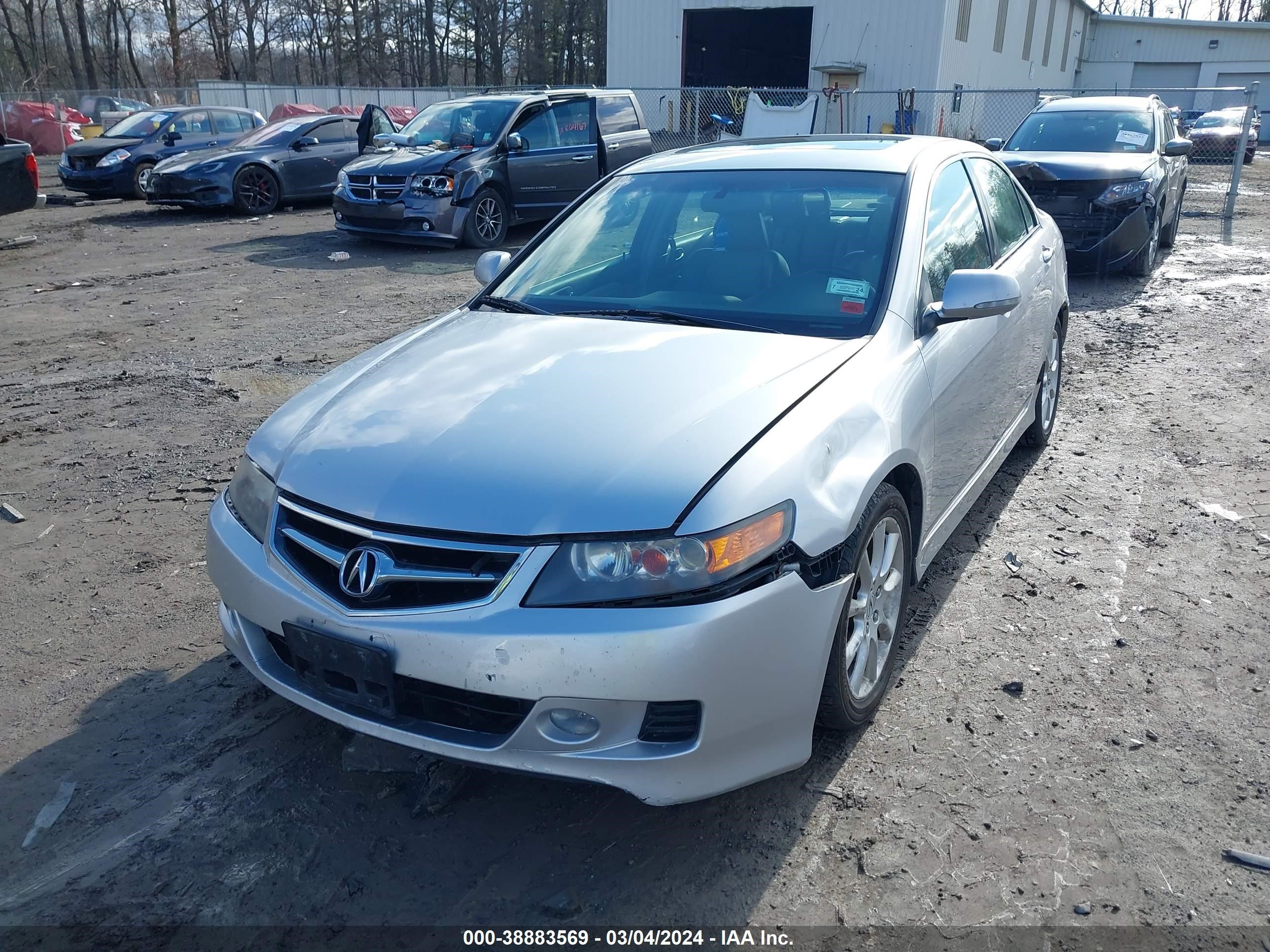 Photo 5 VIN: JH4CL96906C031284 - ACURA TSX 