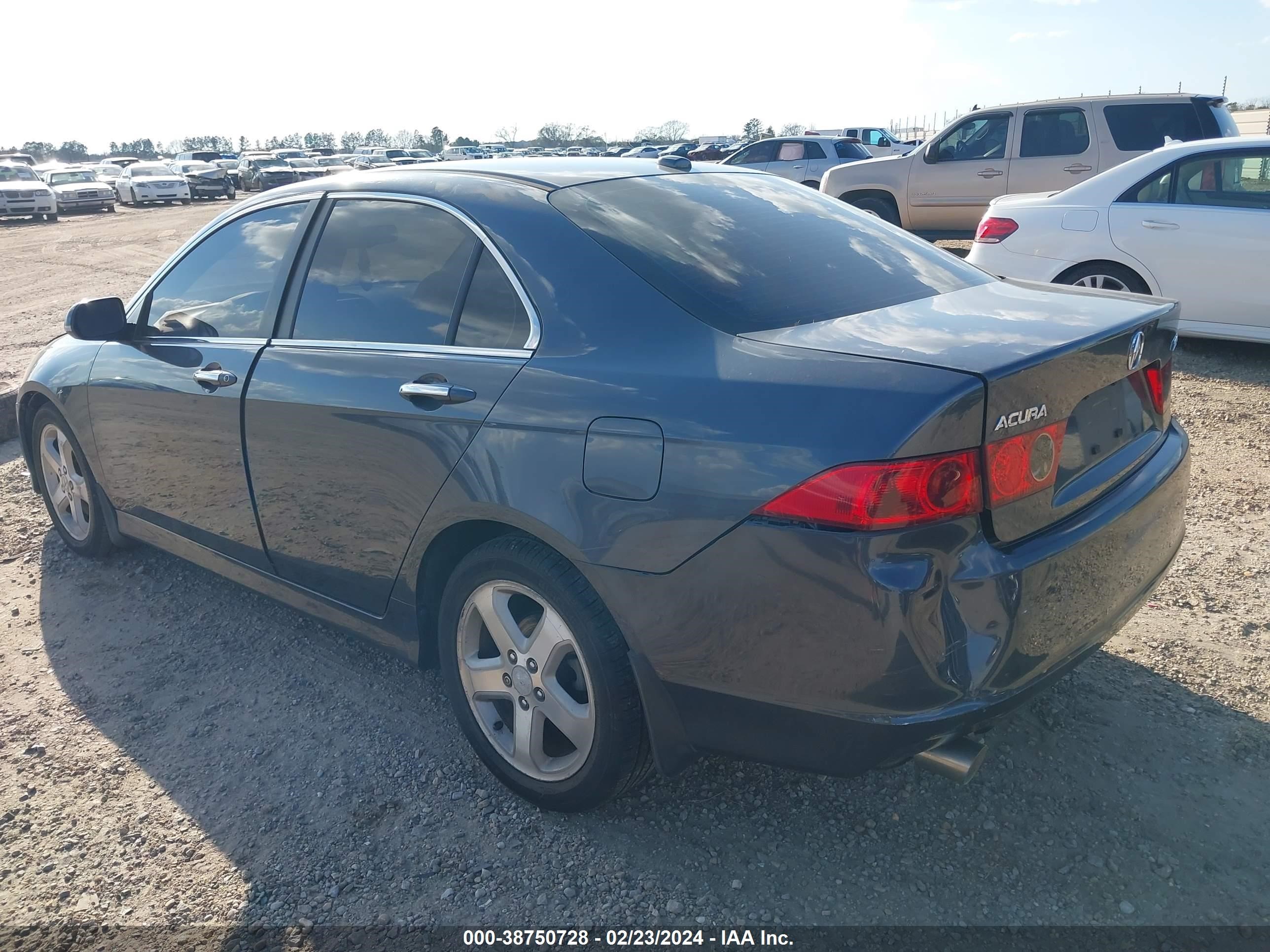 Photo 2 VIN: JH4CL96908C010213 - ACURA TSX 