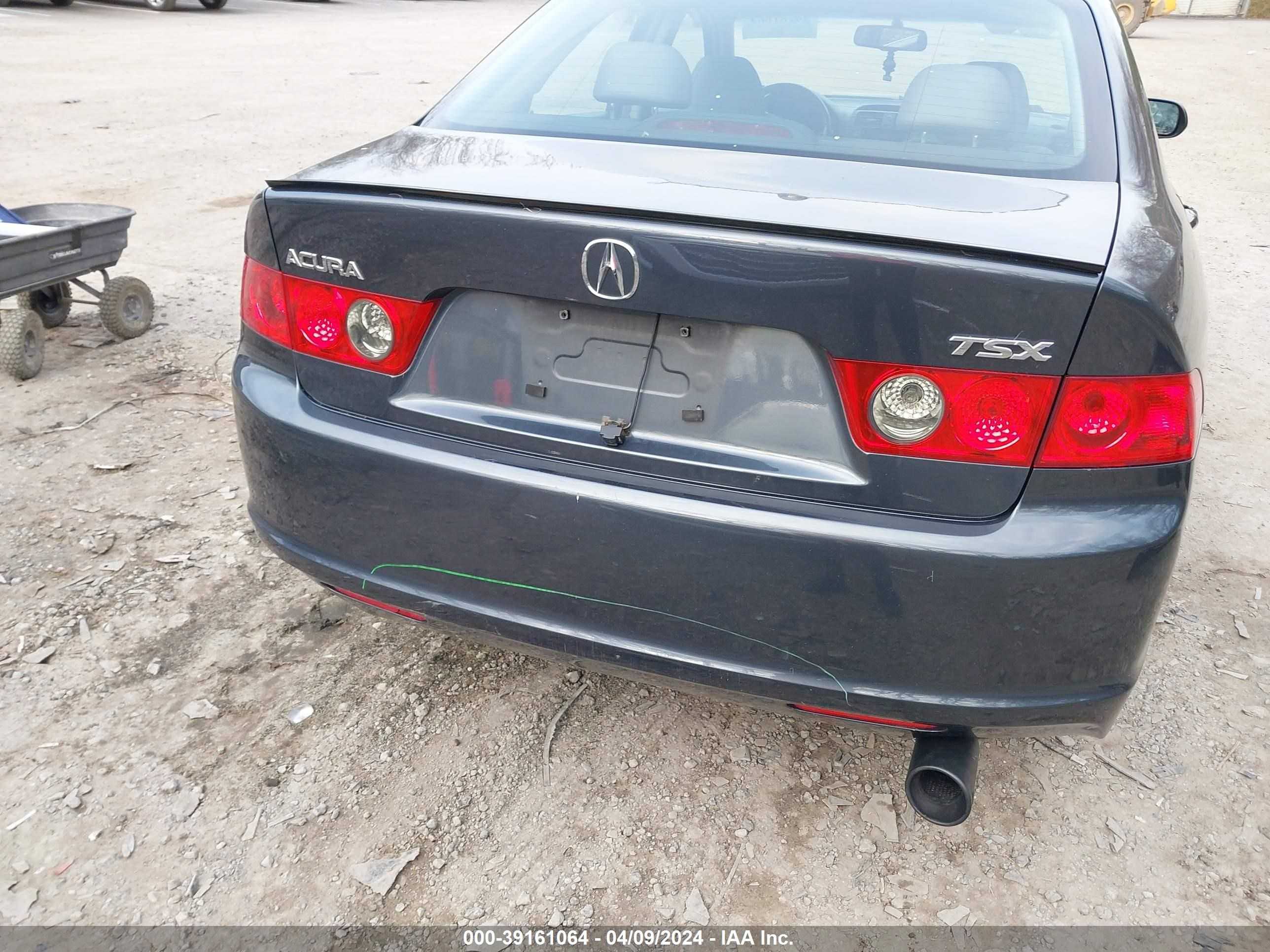 Photo 12 VIN: JH4CL96937C019535 - ACURA TSX 