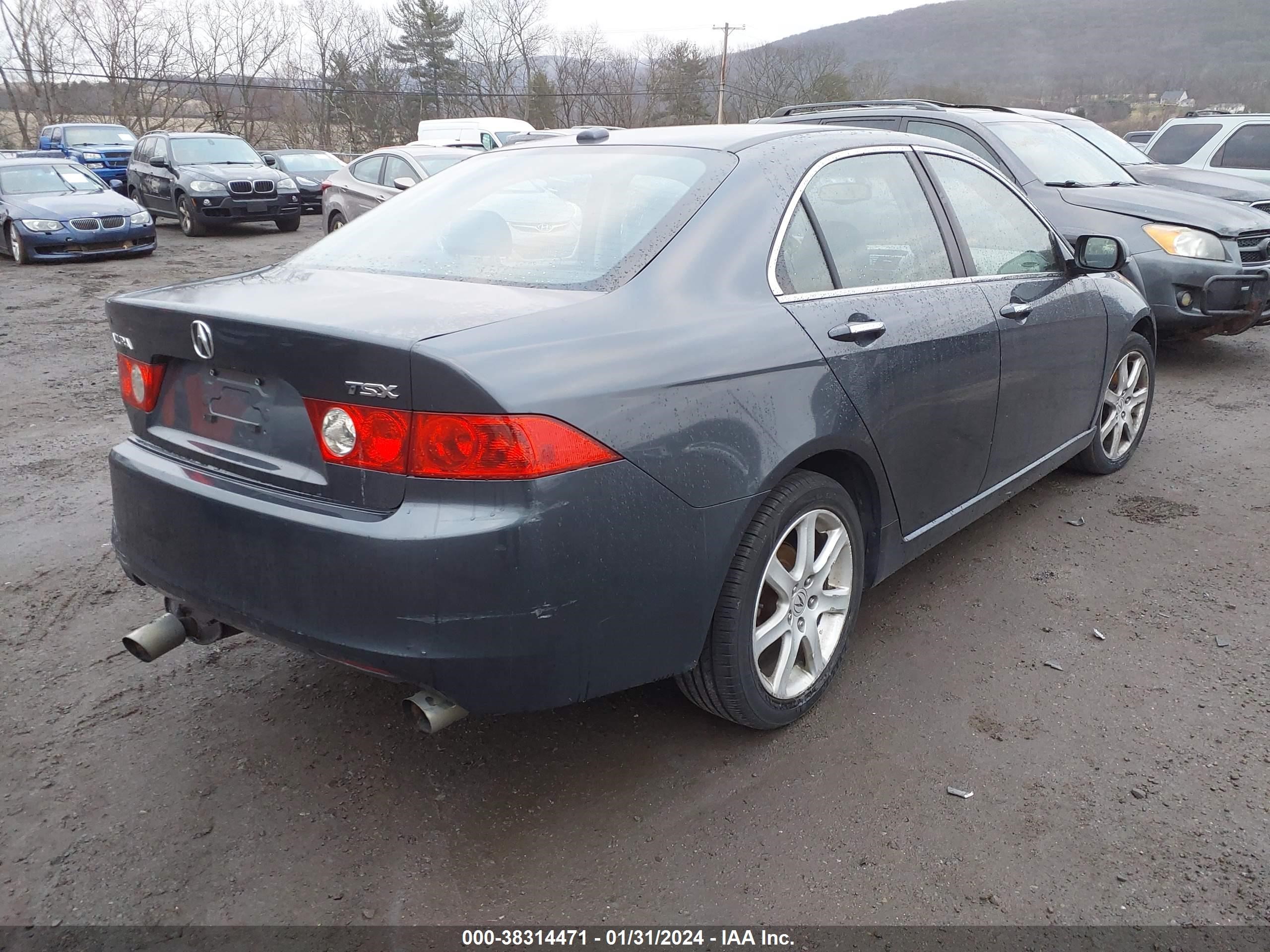 Photo 3 VIN: JH4CL96945C009741 - ACURA TSX 