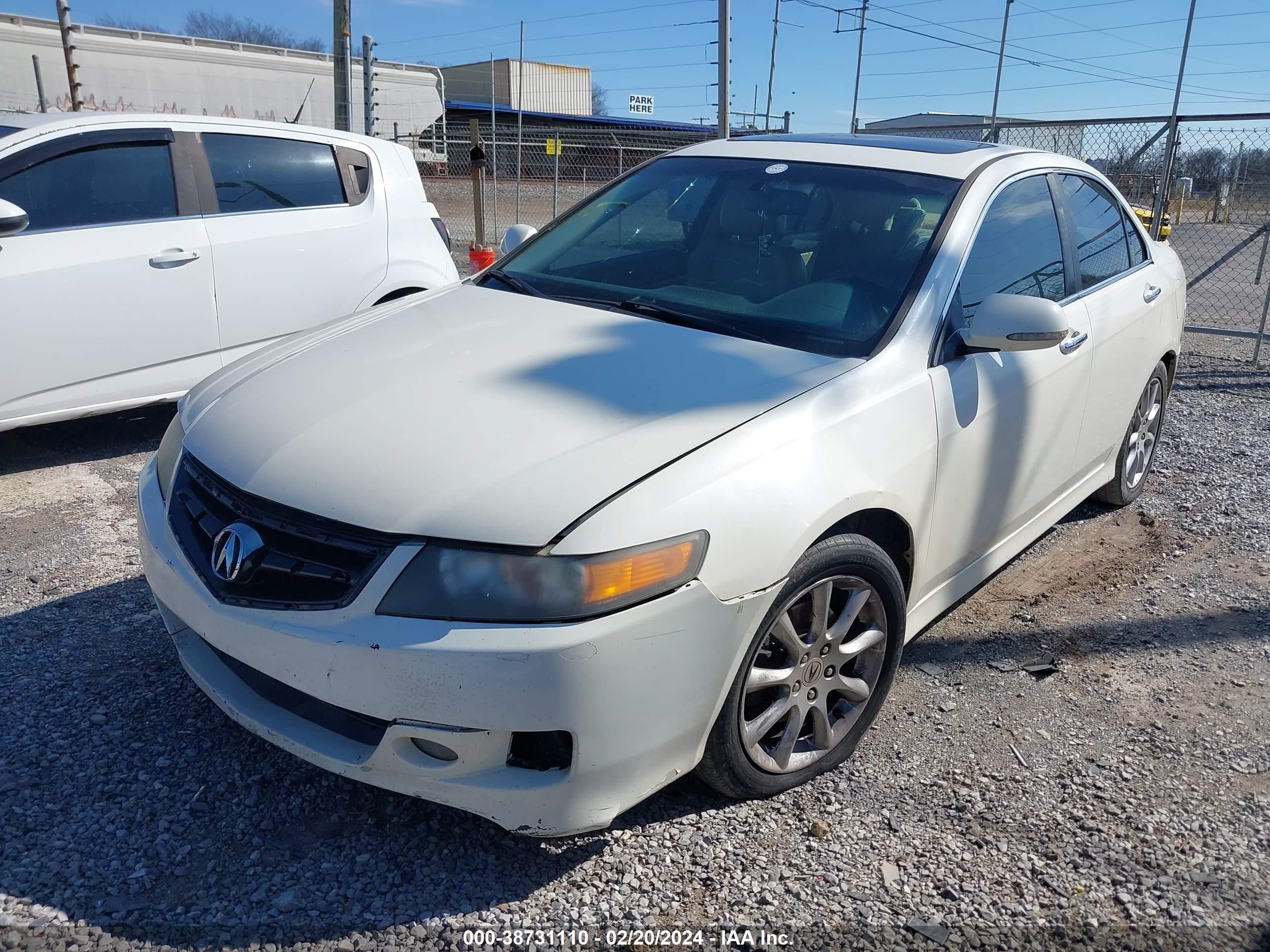 Photo 5 VIN: JH4CL96958C020929 - ACURA TSX 