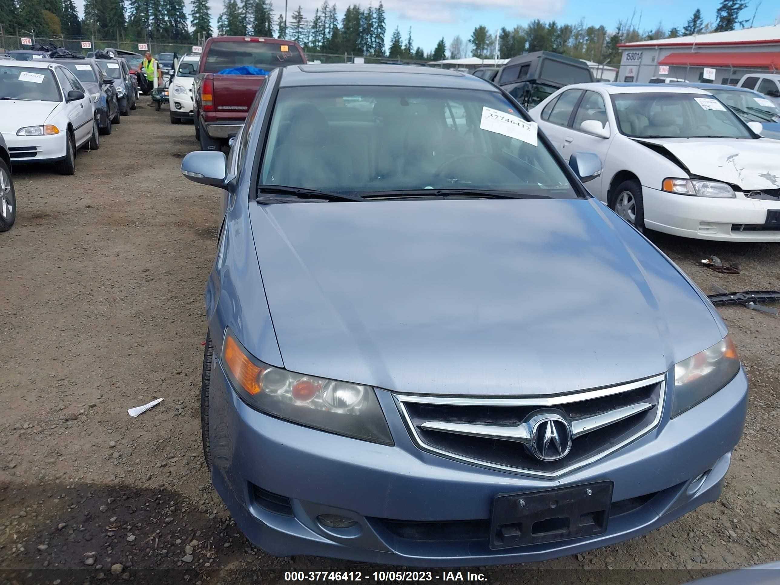 Photo 11 VIN: JH4CL96967C010828 - ACURA TSX 