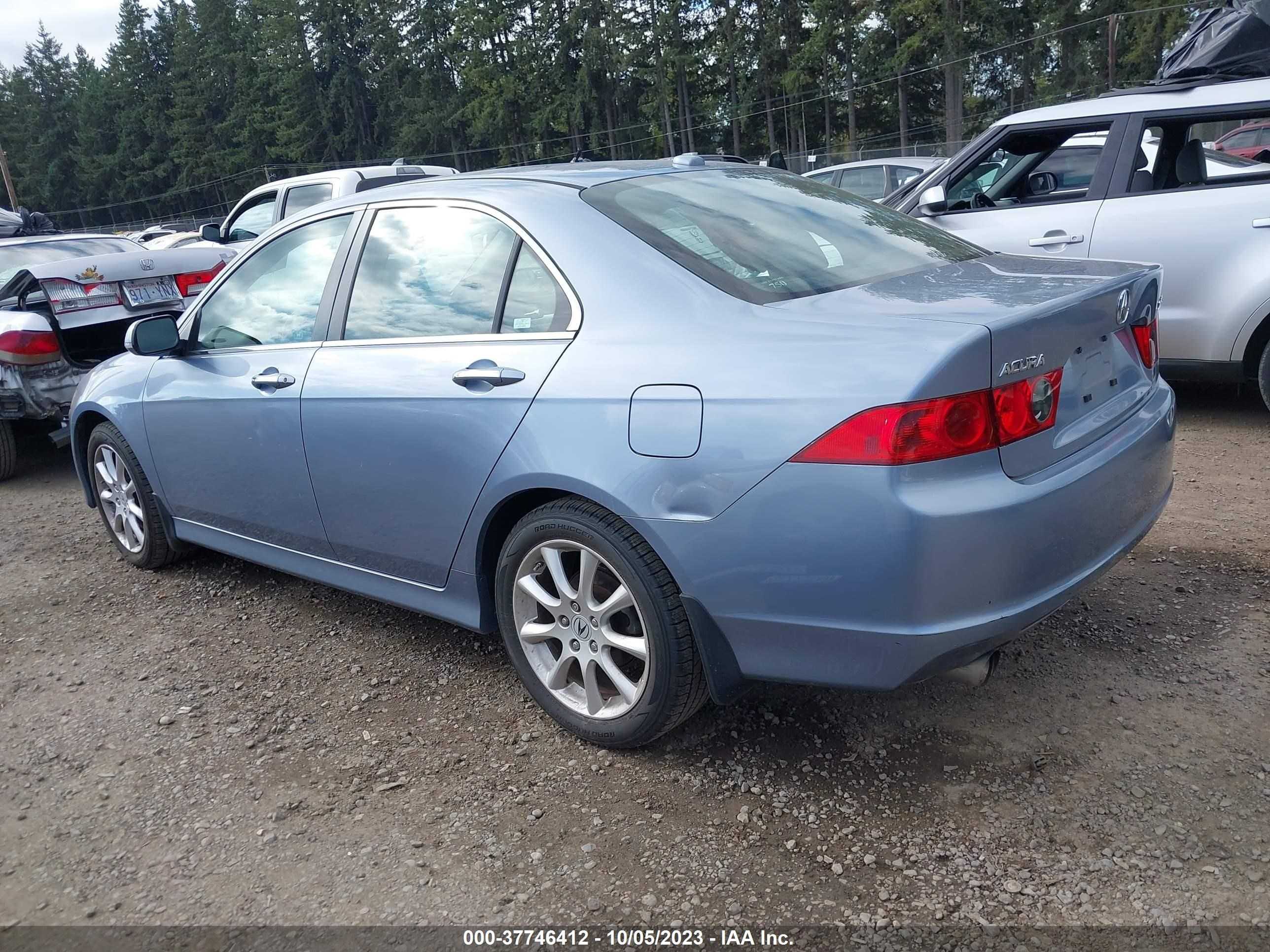 Photo 13 VIN: JH4CL96967C010828 - ACURA TSX 