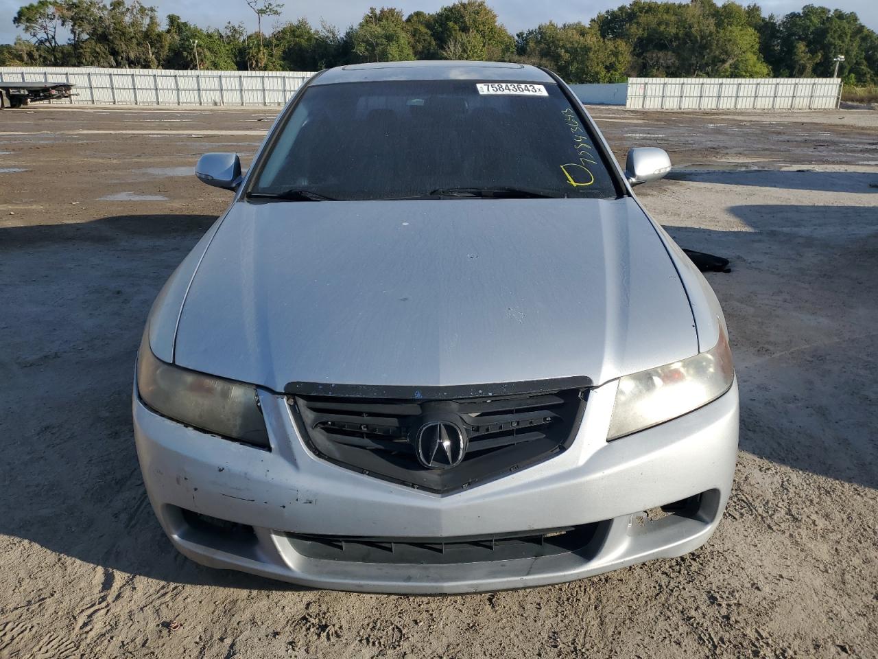 Photo 4 VIN: JH4CL96975C029238 - ACURA TSX 