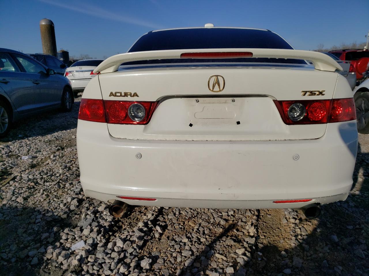 Photo 5 VIN: JH4CL96977C016525 - ACURA TSX 