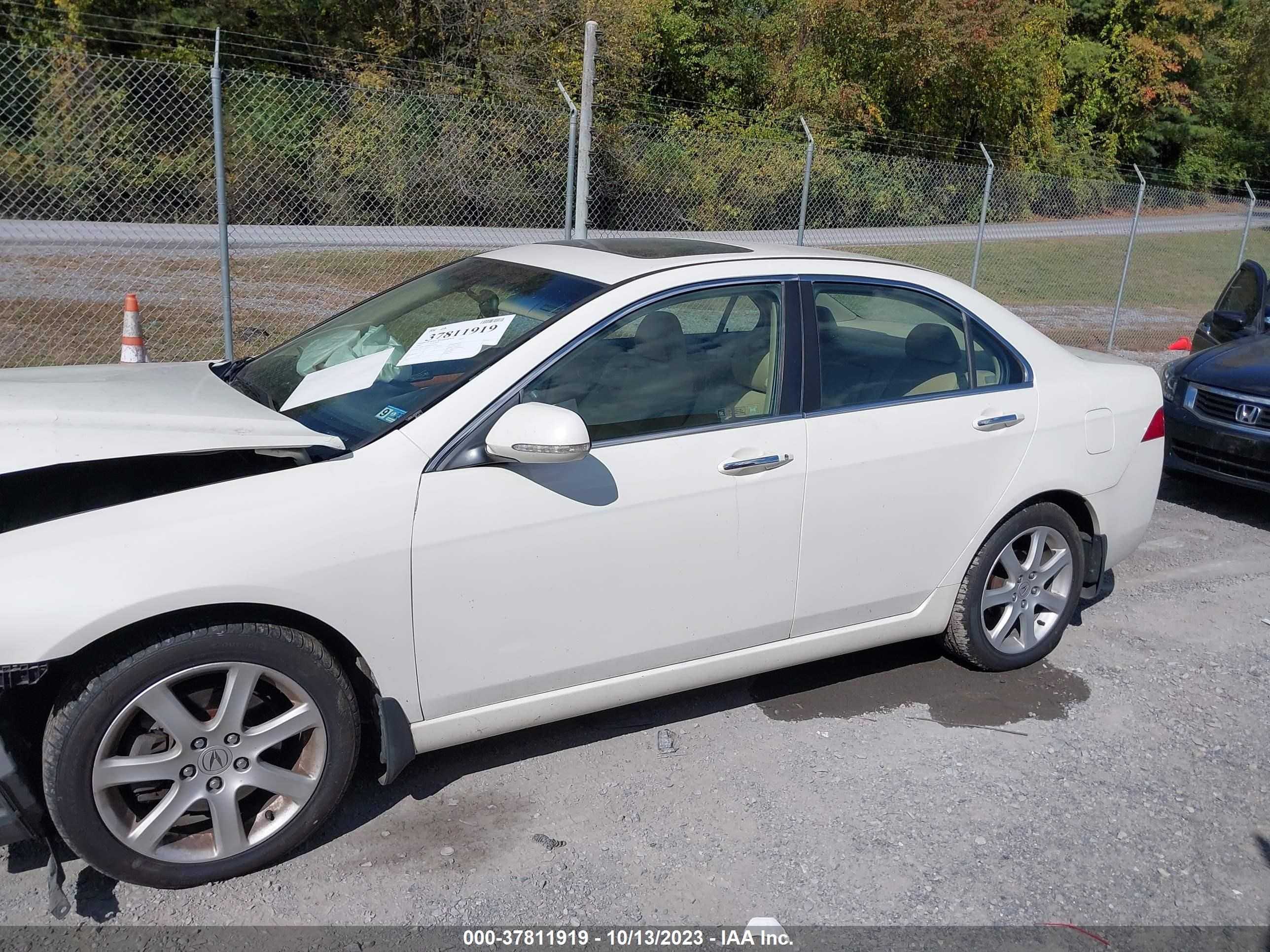 Photo 14 VIN: JH4CL96984C043728 - ACURA TSX 