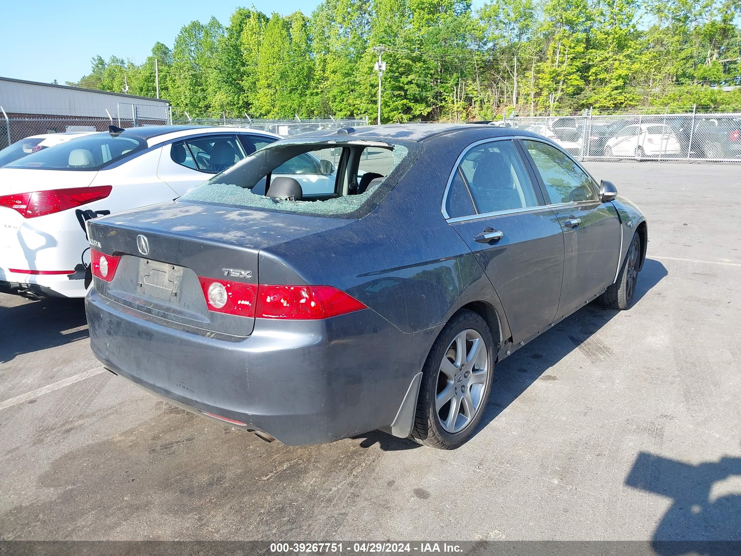 Photo 3 VIN: JH4CL96985C032438 - ACURA TSX 