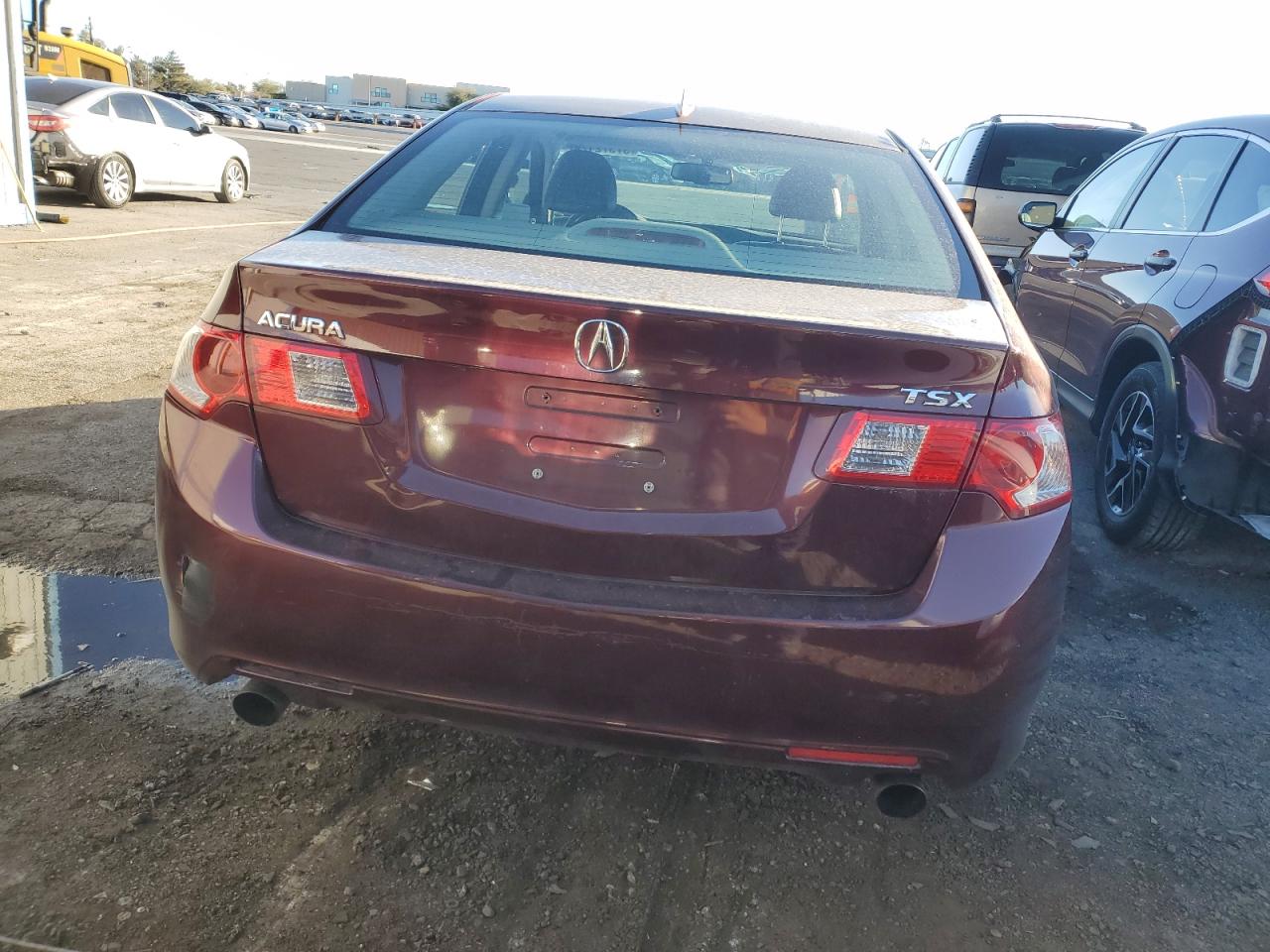 Photo 5 VIN: JH4CU25619C022738 - ACURA TSX 