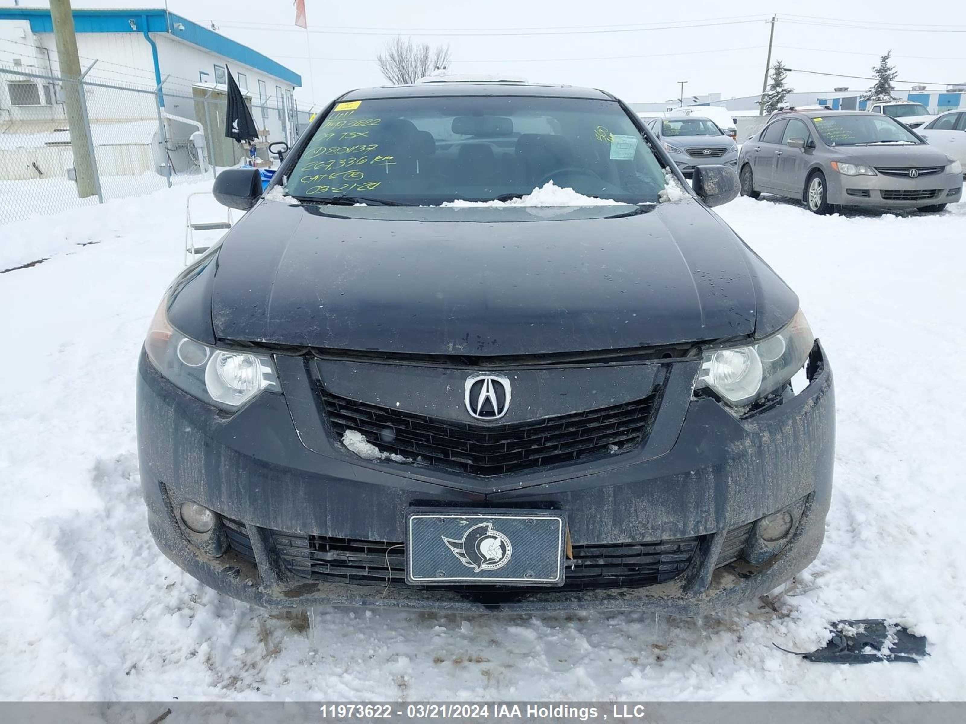 Photo 11 VIN: JH4CU25639C801137 - ACURA TSX 