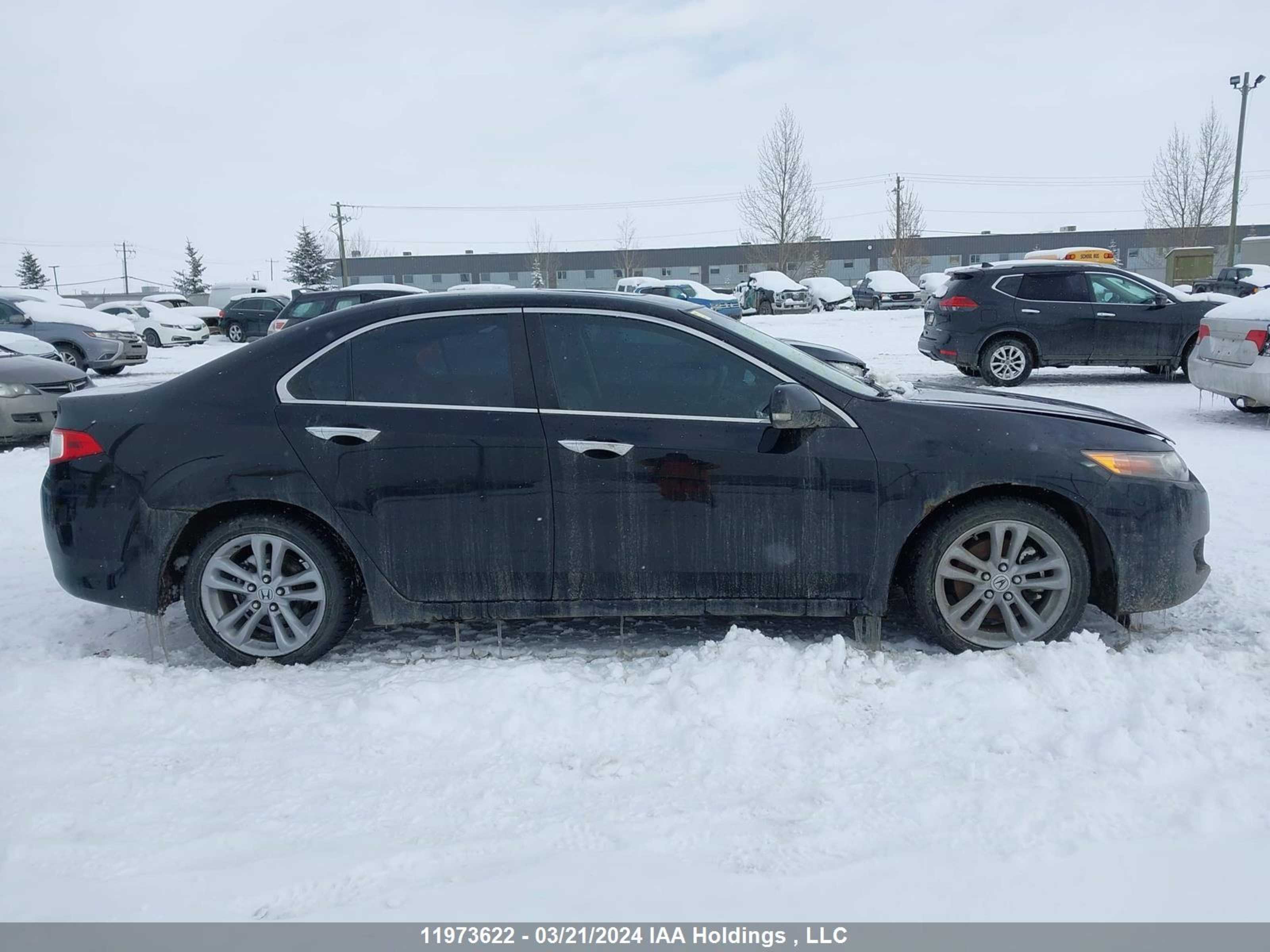 Photo 12 VIN: JH4CU25639C801137 - ACURA TSX 