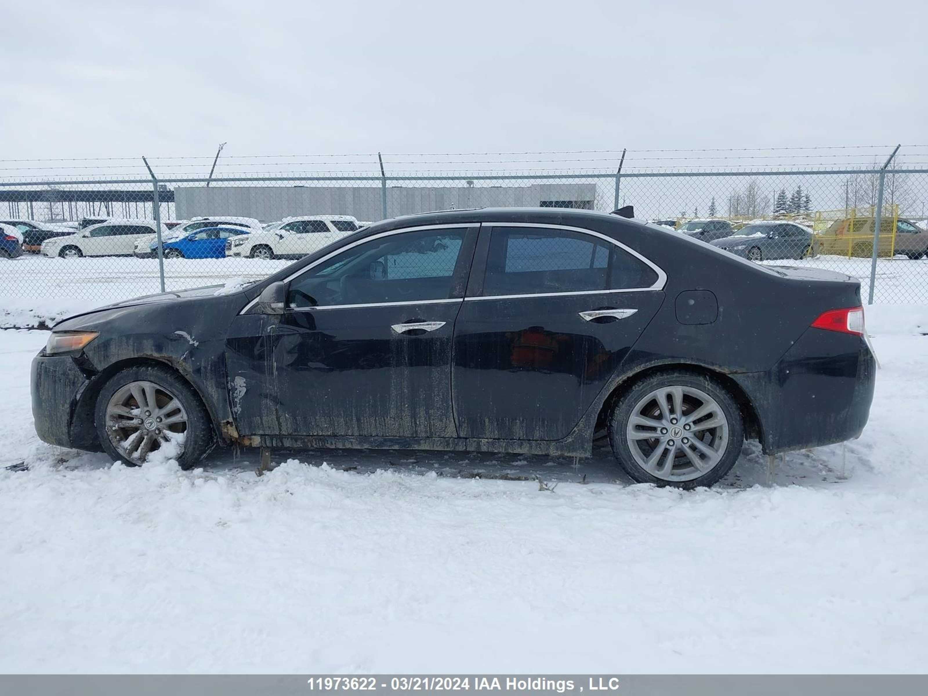 Photo 13 VIN: JH4CU25639C801137 - ACURA TSX 