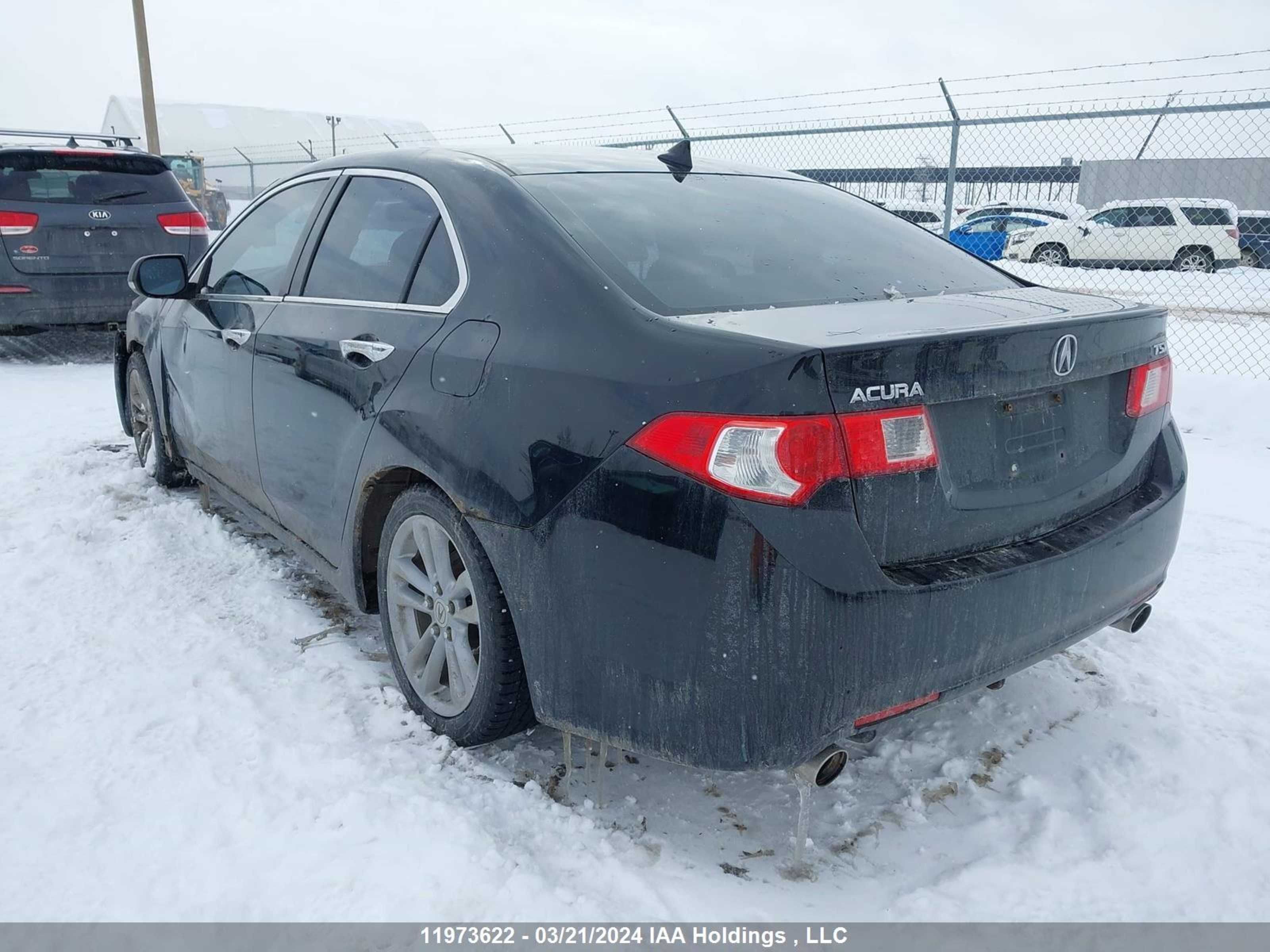 Photo 2 VIN: JH4CU25639C801137 - ACURA TSX 