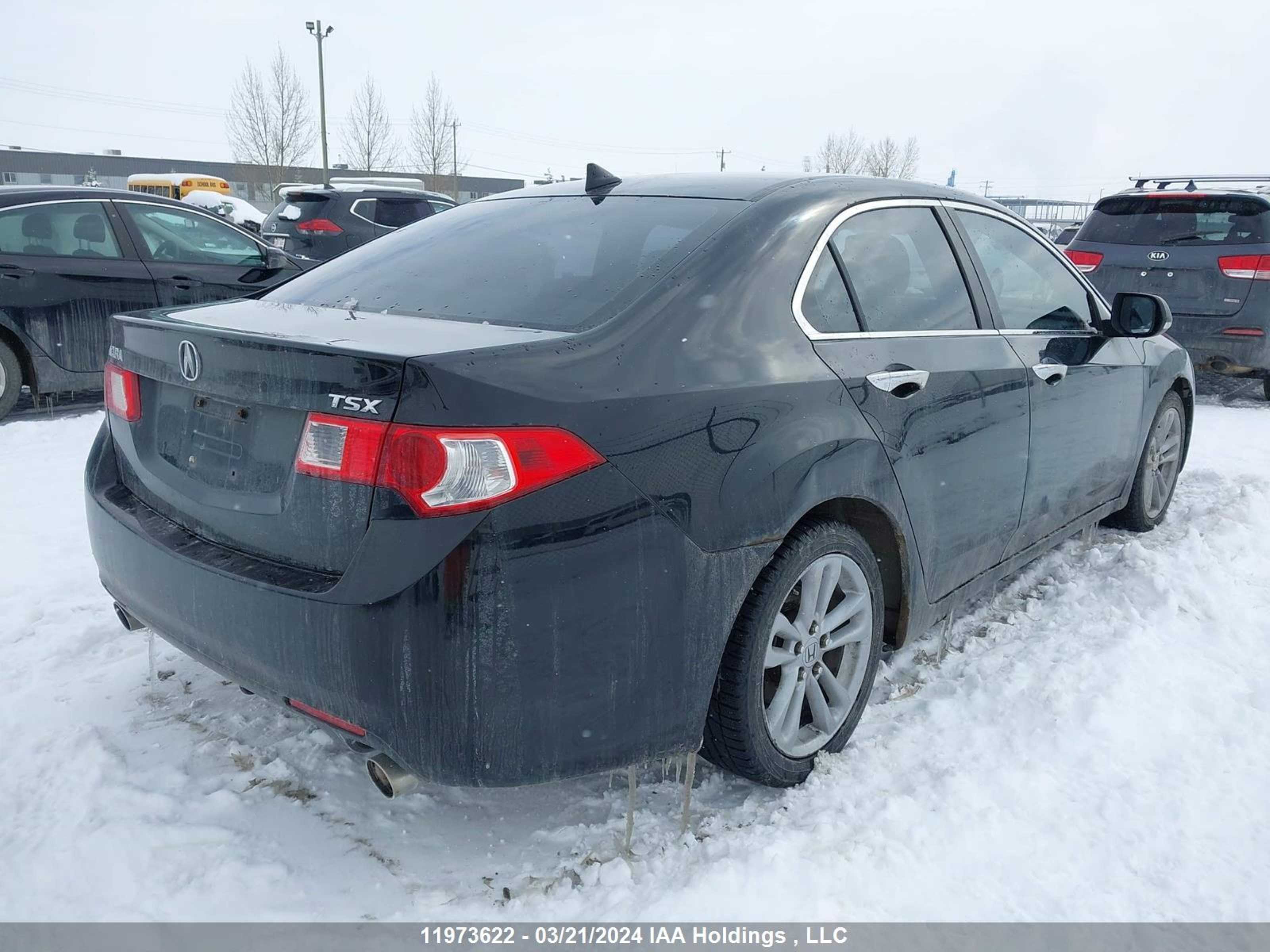 Photo 3 VIN: JH4CU25639C801137 - ACURA TSX 