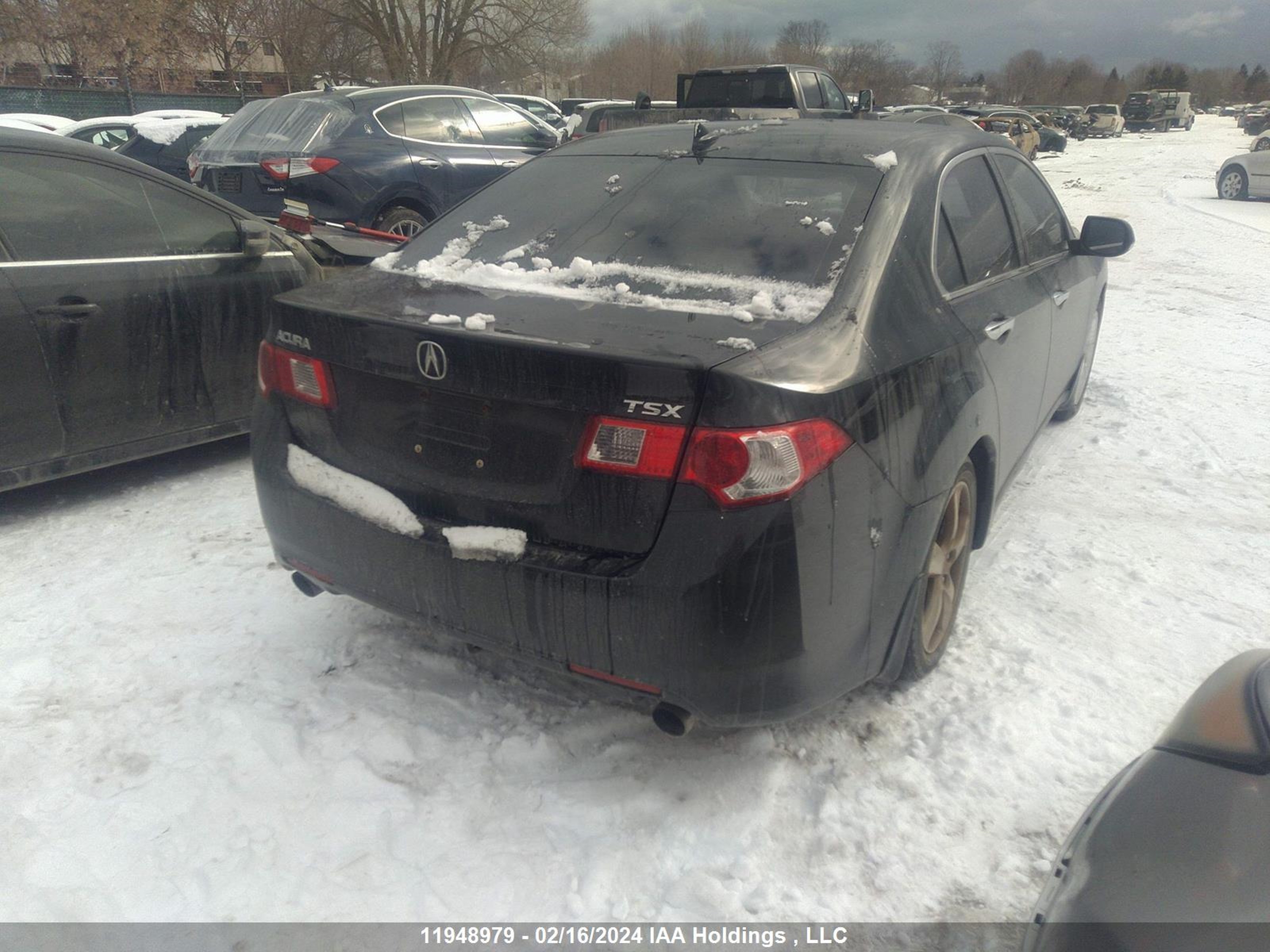 Photo 3 VIN: JH4CU25679C801500 - ACURA TSX 