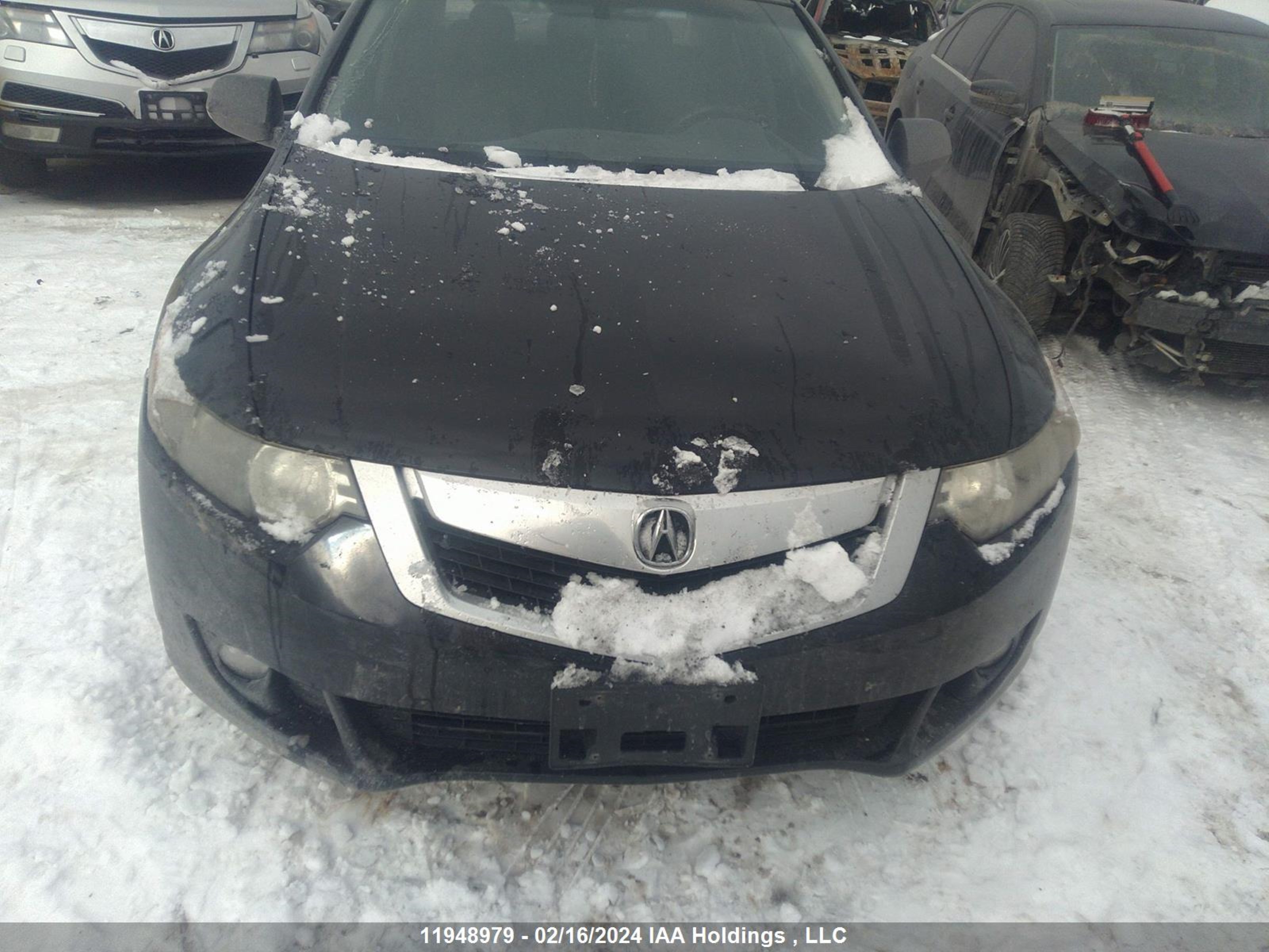 Photo 5 VIN: JH4CU25679C801500 - ACURA TSX 