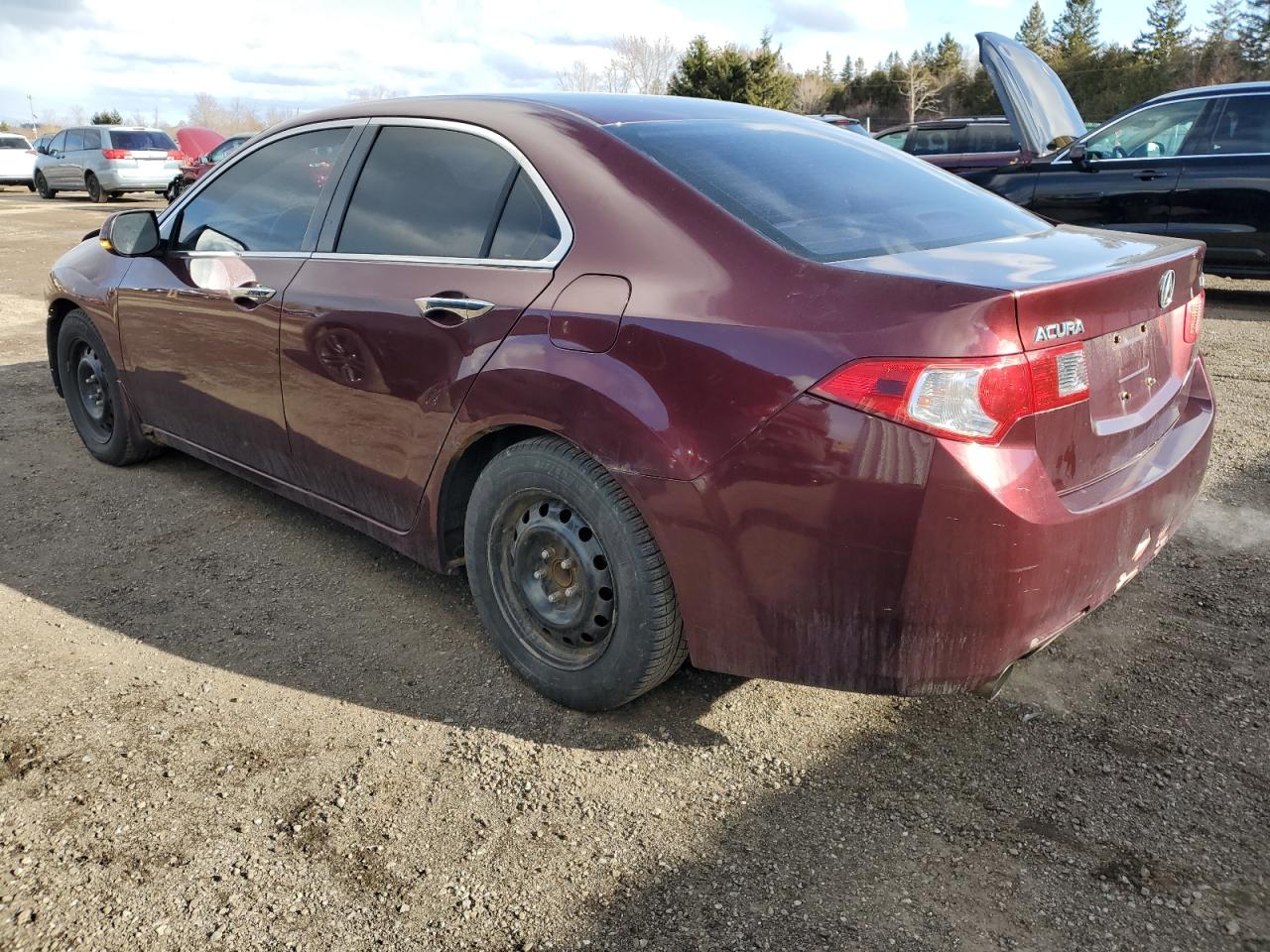 Photo 1 VIN: JH4CU26449C801029 - ACURA TSX 