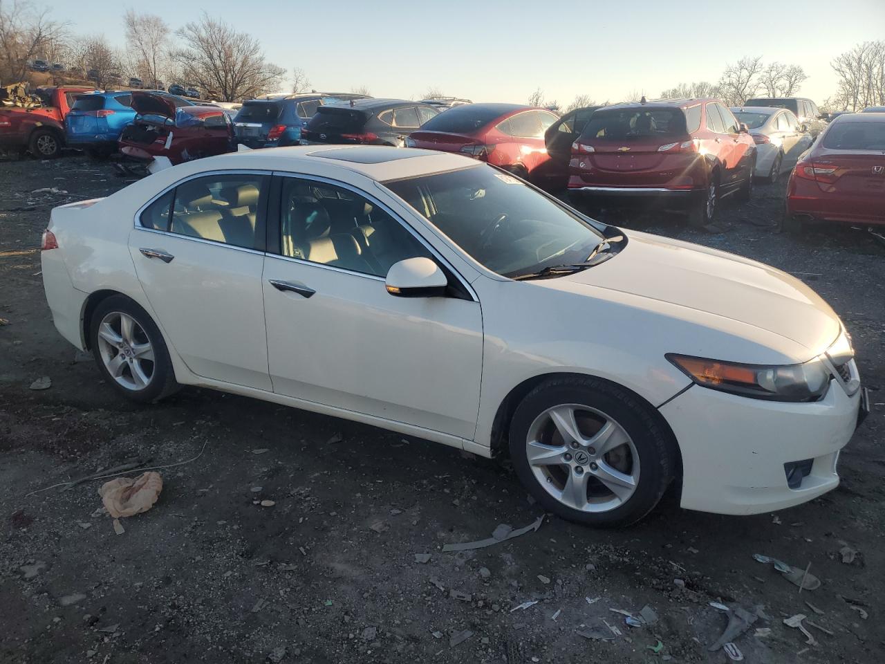 Photo 3 VIN: JH4CU26609C014466 - ACURA TSX 