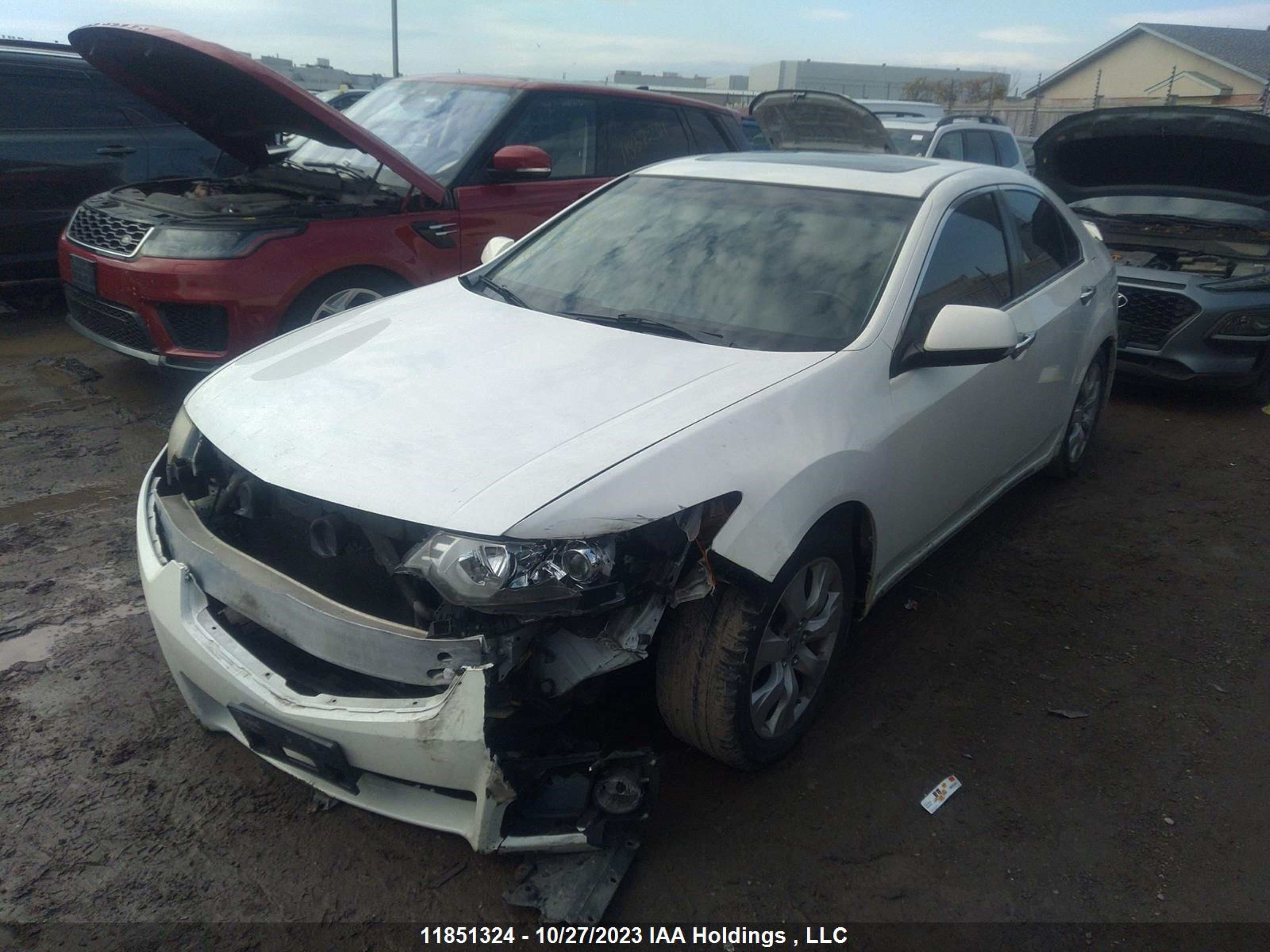 Photo 1 VIN: JH4CU26609C800235 - ACURA TSX 