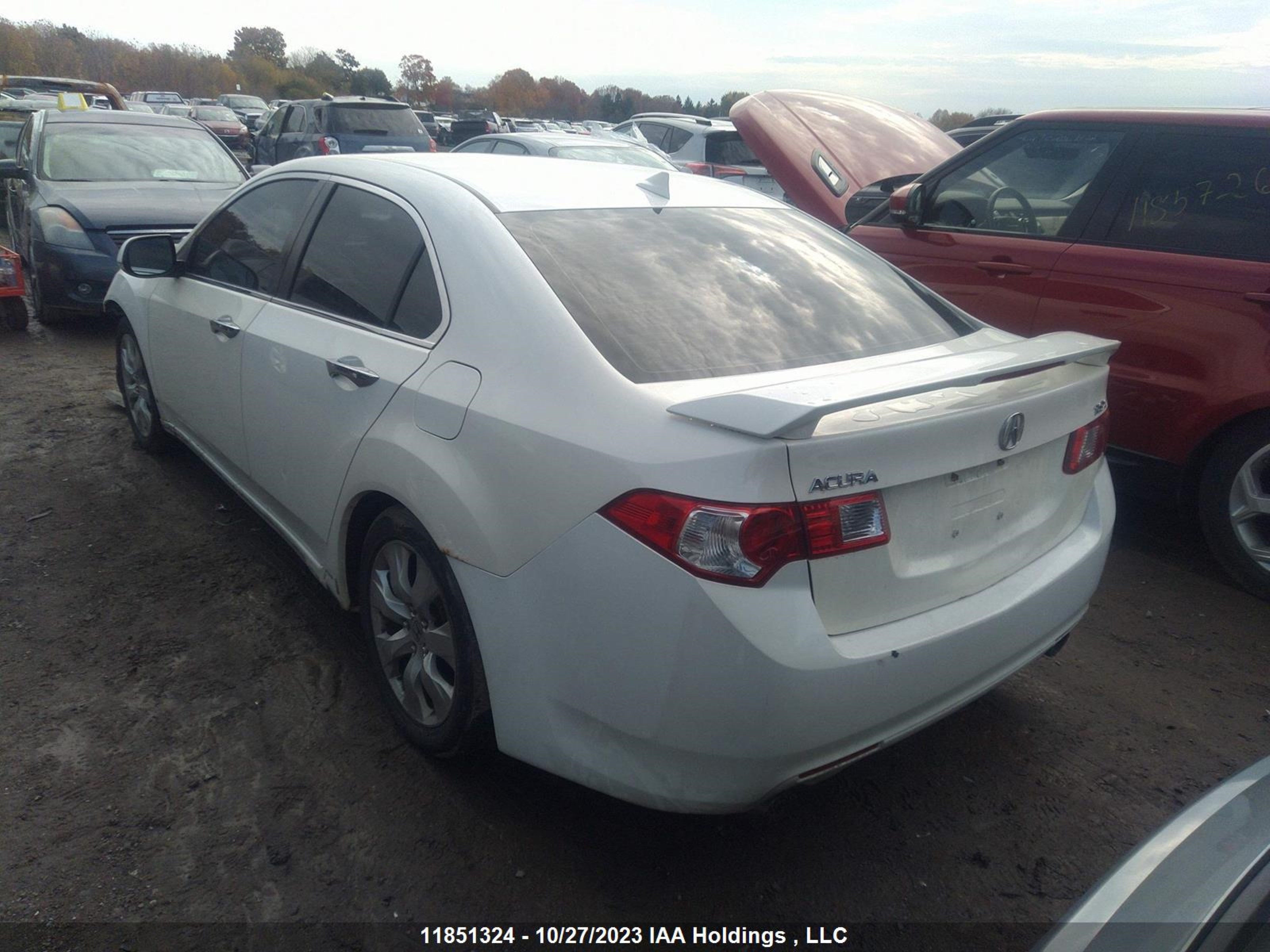 Photo 2 VIN: JH4CU26609C800235 - ACURA TSX 