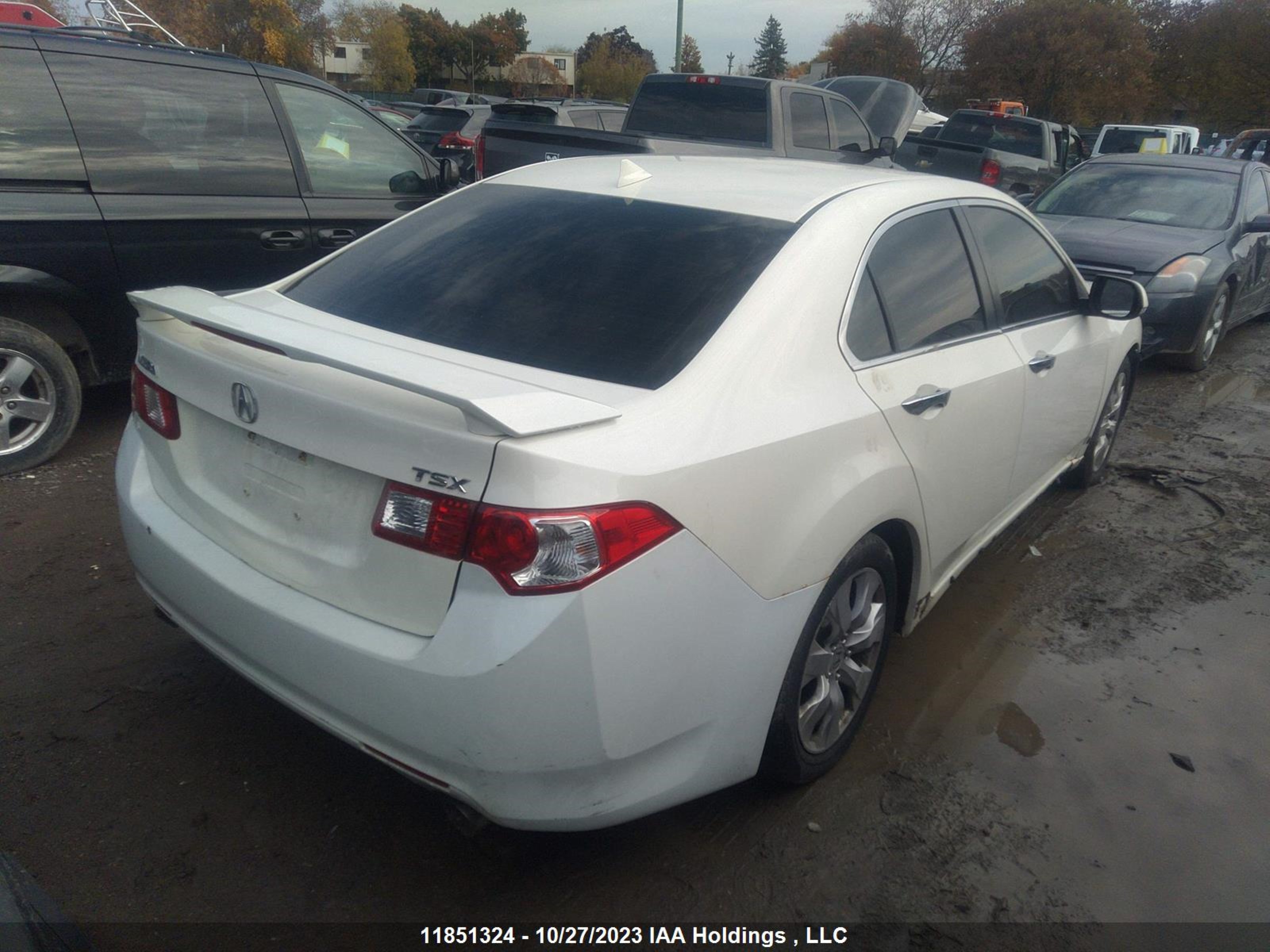 Photo 3 VIN: JH4CU26609C800235 - ACURA TSX 