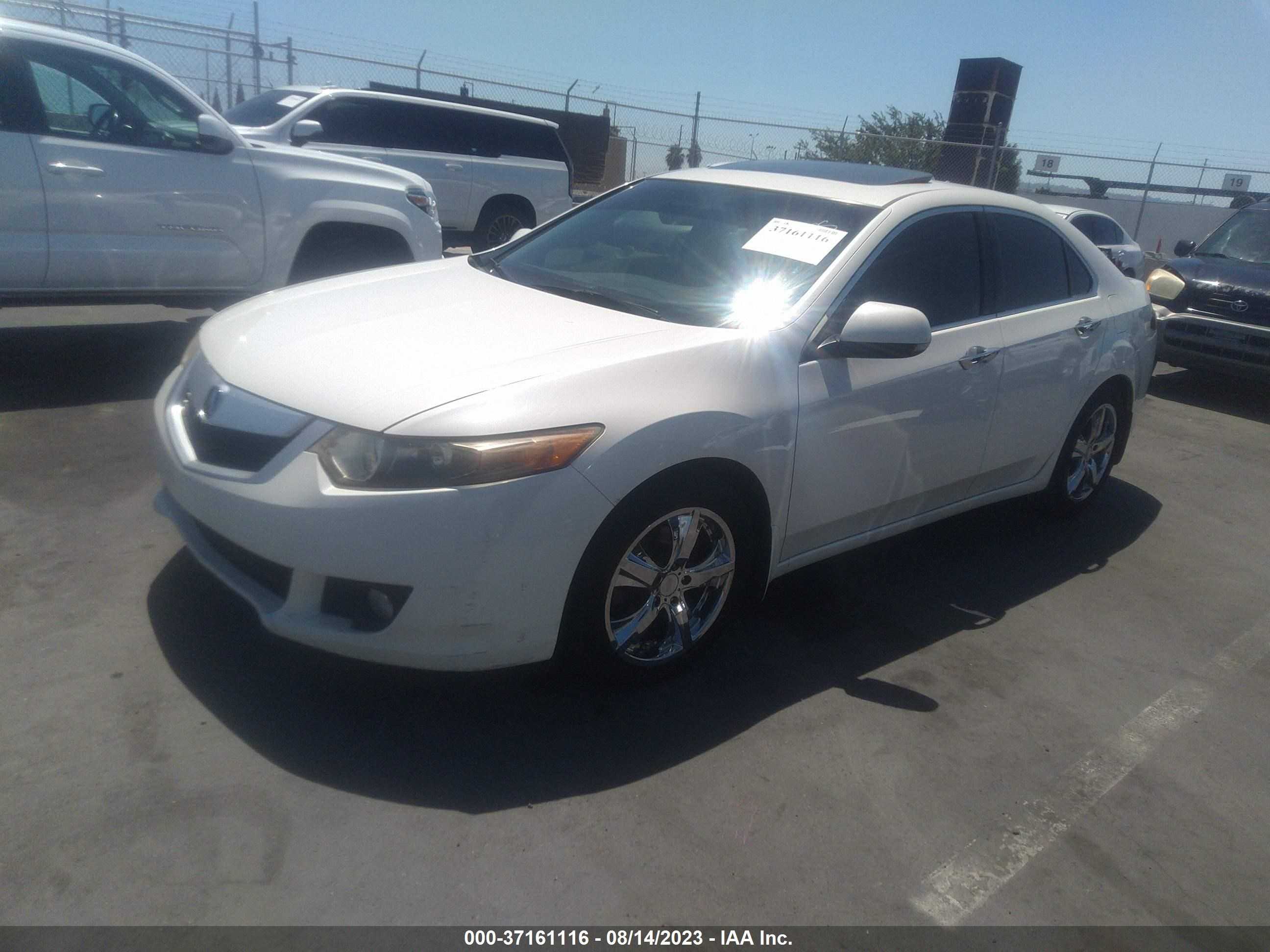 Photo 1 VIN: JH4CU26619C005789 - ACURA TSX 