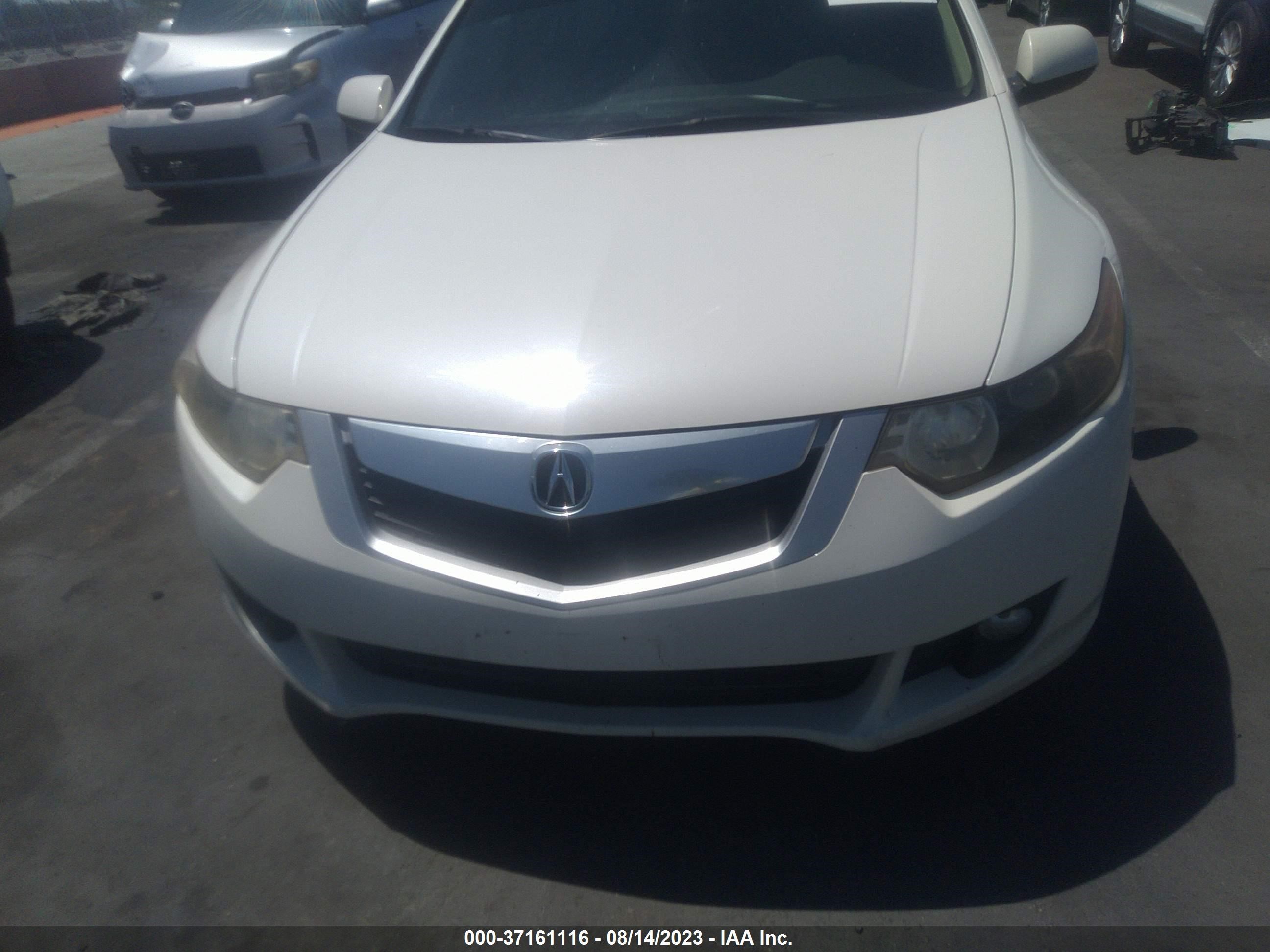 Photo 11 VIN: JH4CU26619C005789 - ACURA TSX 