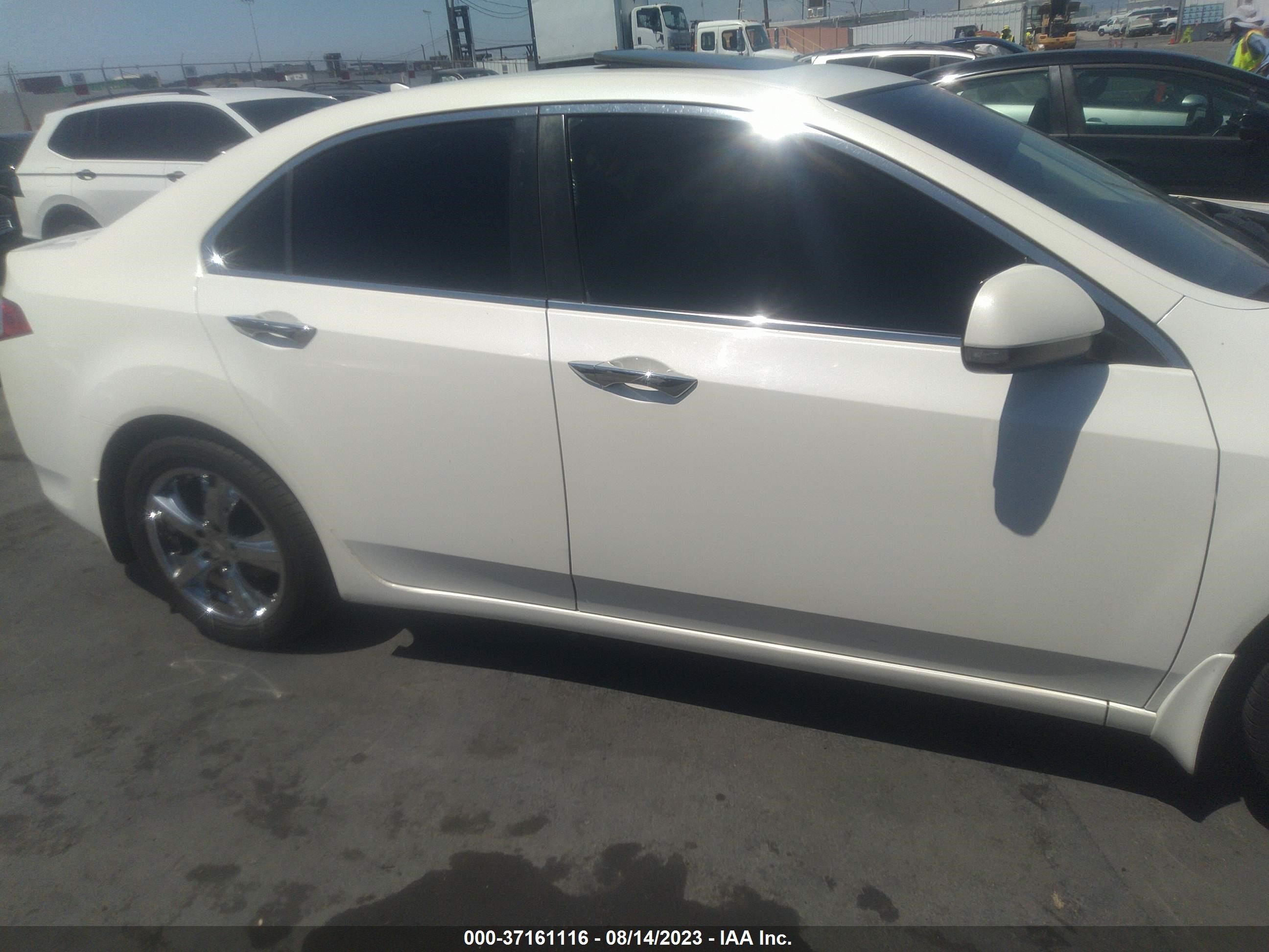 Photo 12 VIN: JH4CU26619C005789 - ACURA TSX 