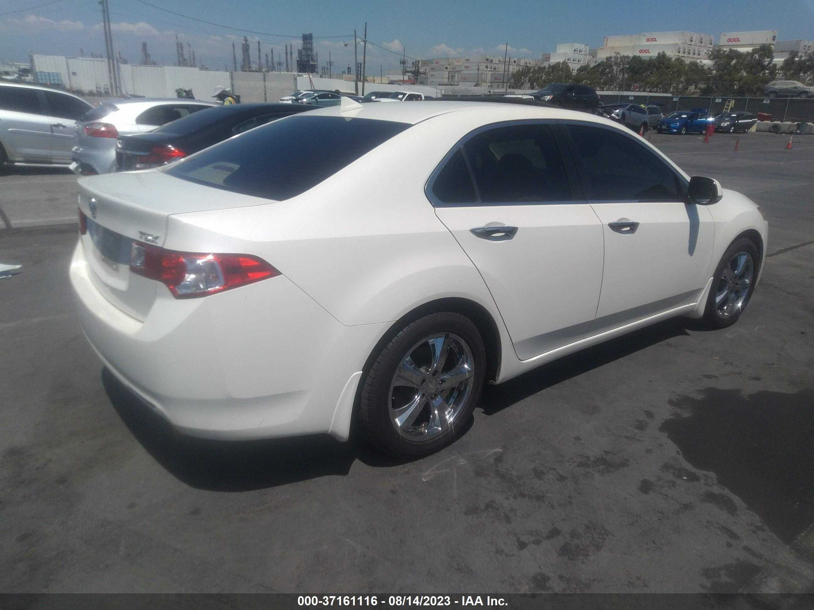 Photo 3 VIN: JH4CU26619C005789 - ACURA TSX 