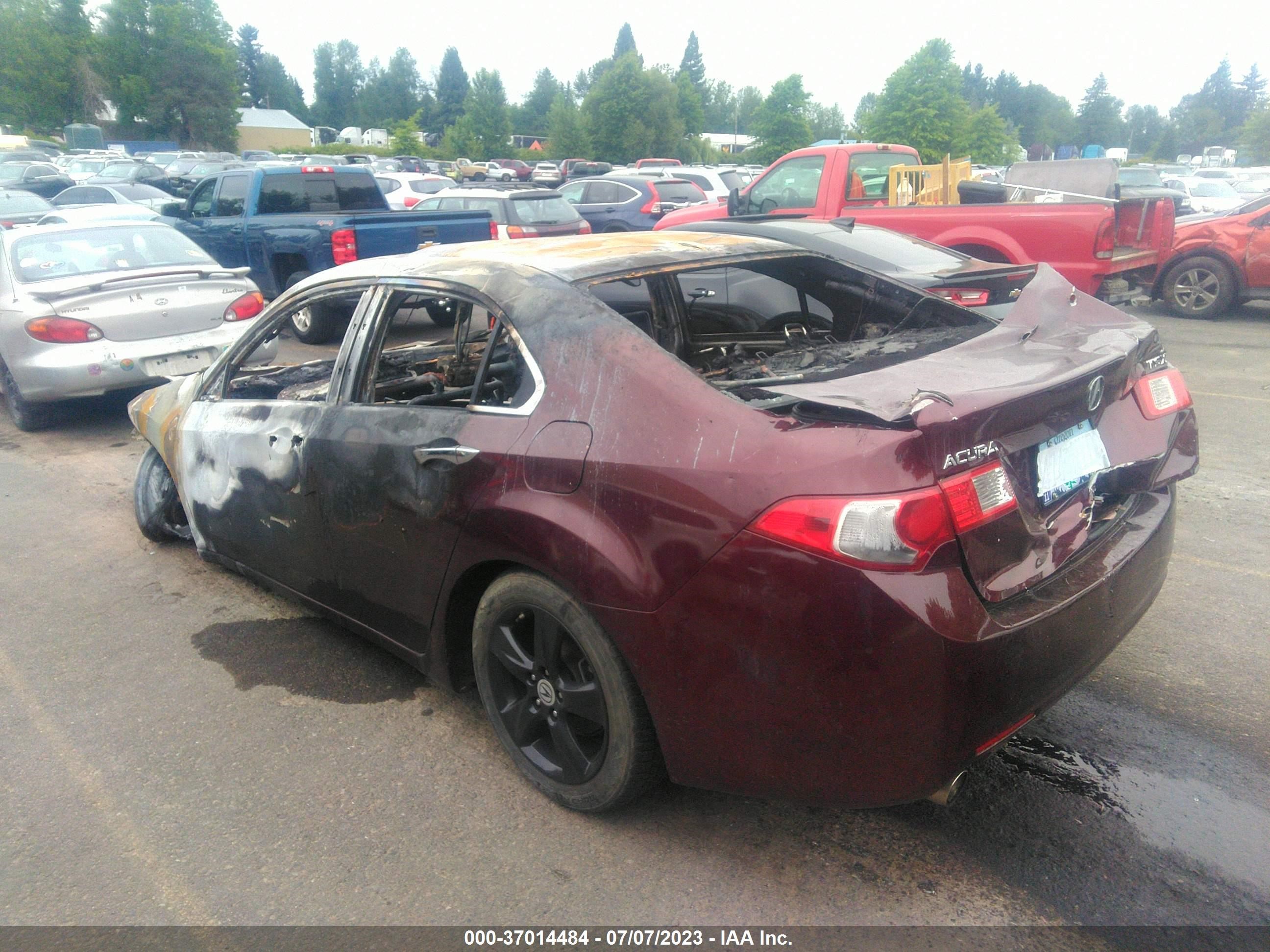 Photo 2 VIN: JH4CU26619C033690 - ACURA TSX 