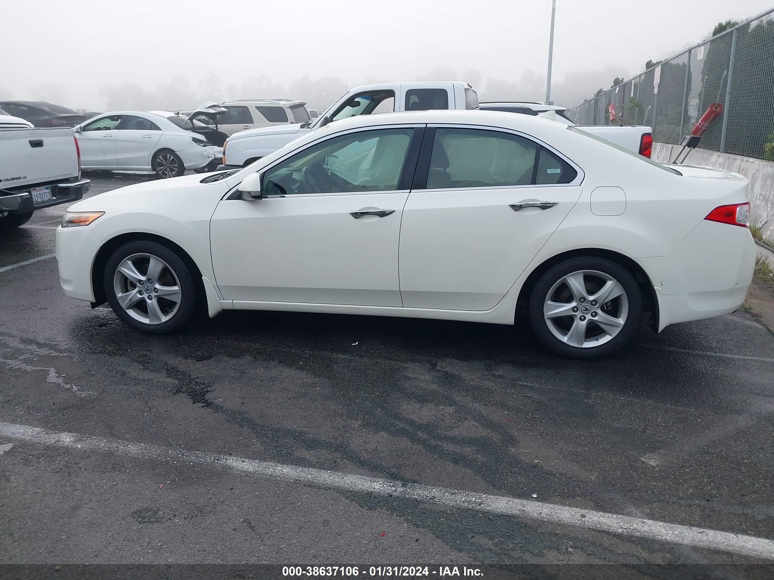 Photo 13 VIN: JH4CU26639C002585 - ACURA TSX 