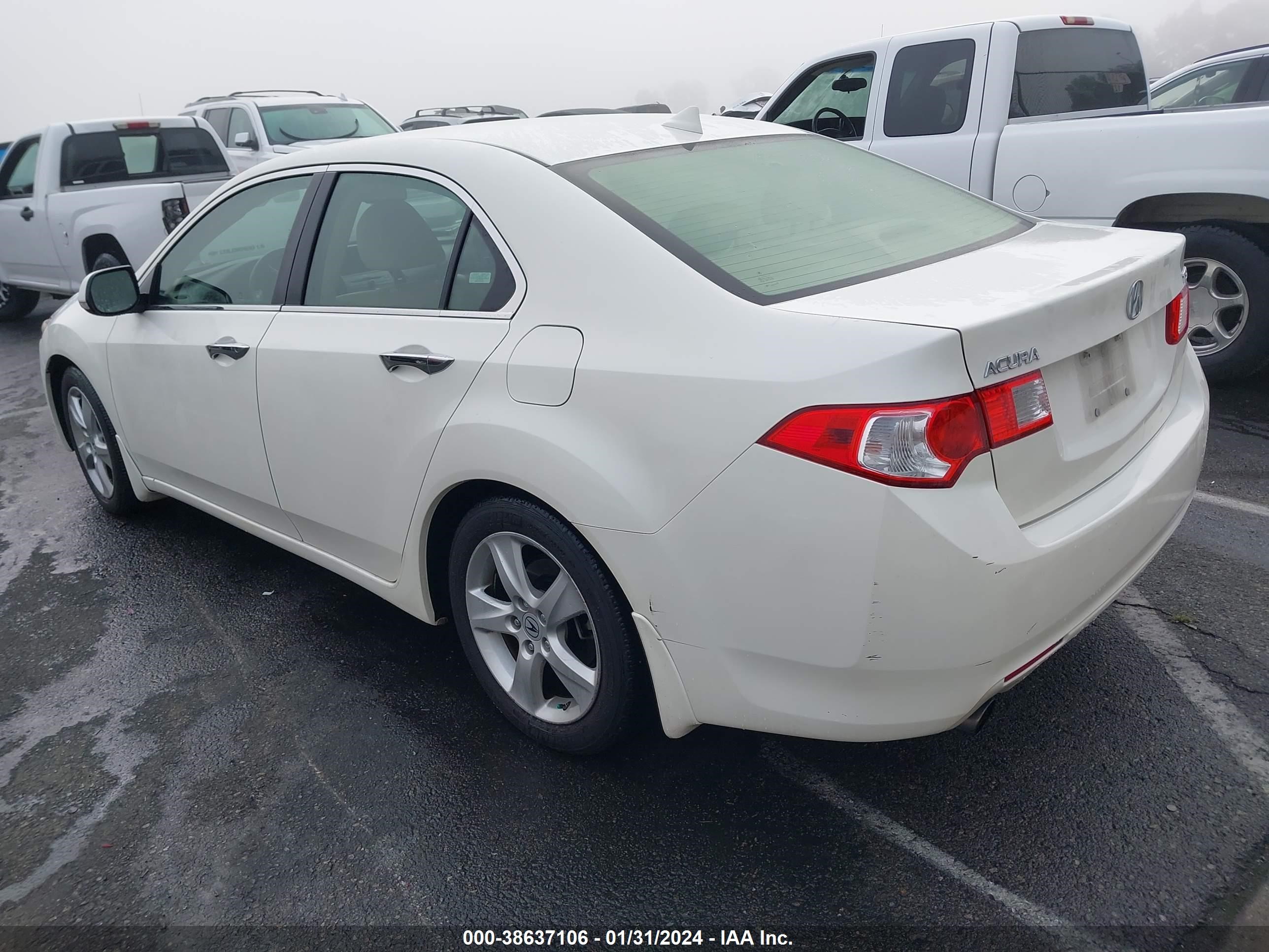 Photo 2 VIN: JH4CU26639C002585 - ACURA TSX 