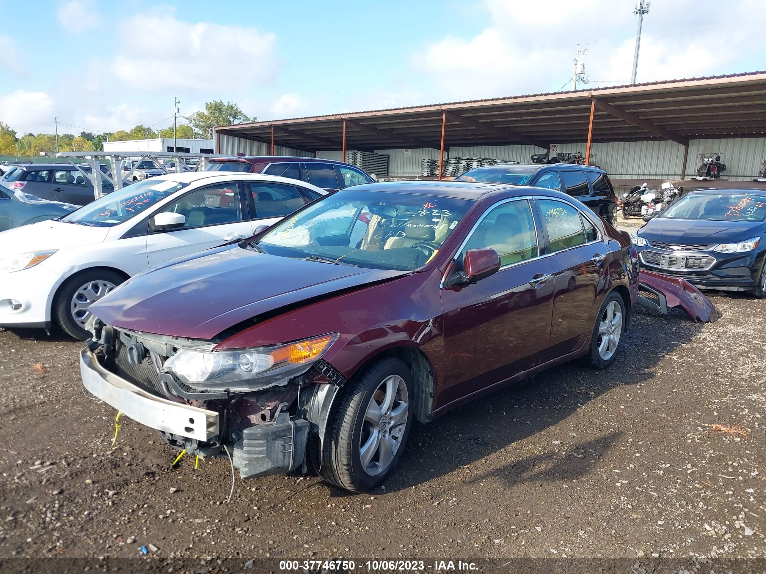 Photo 1 VIN: JH4CU26639C019919 - ACURA TSX 