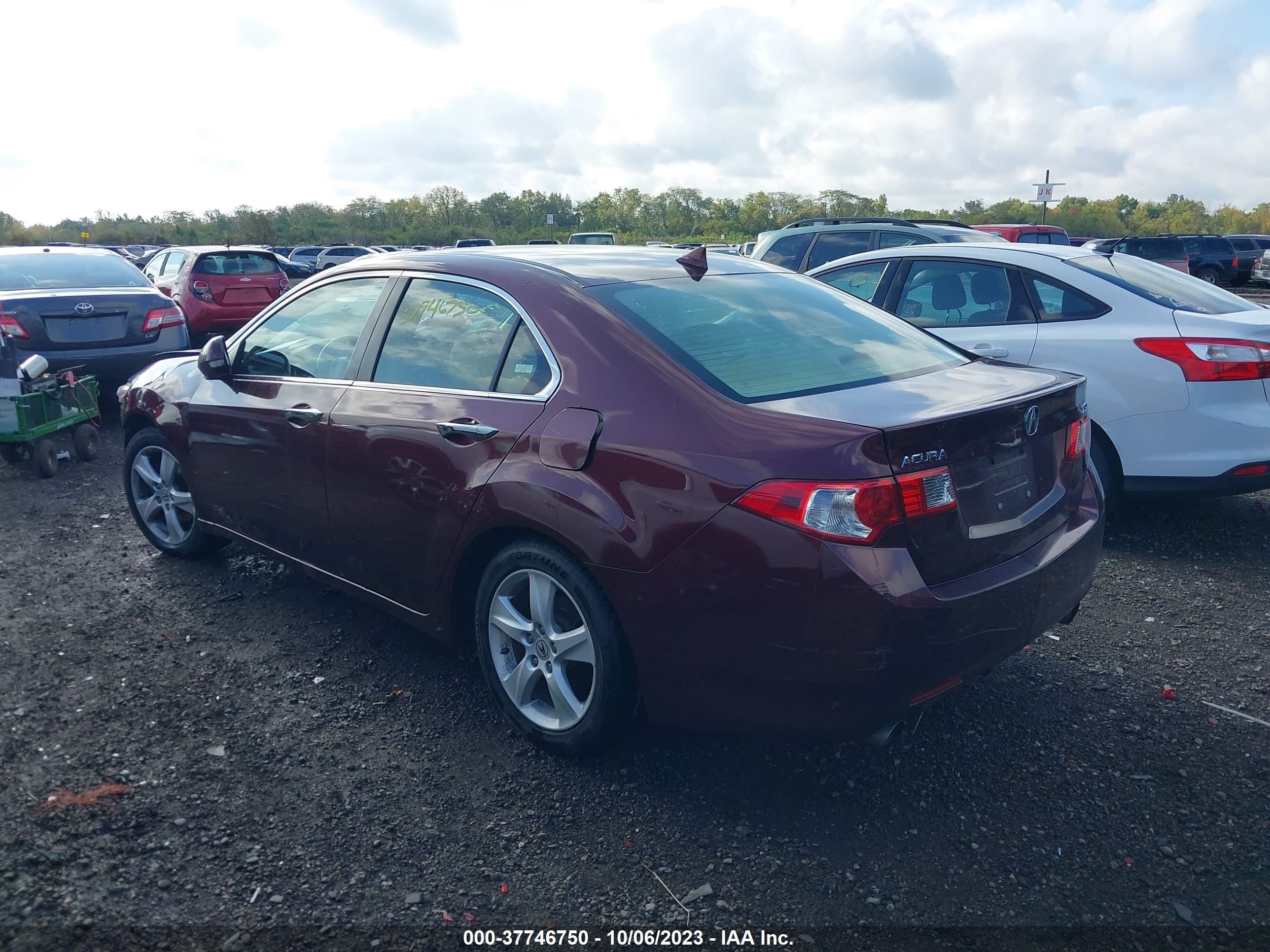 Photo 2 VIN: JH4CU26639C019919 - ACURA TSX 