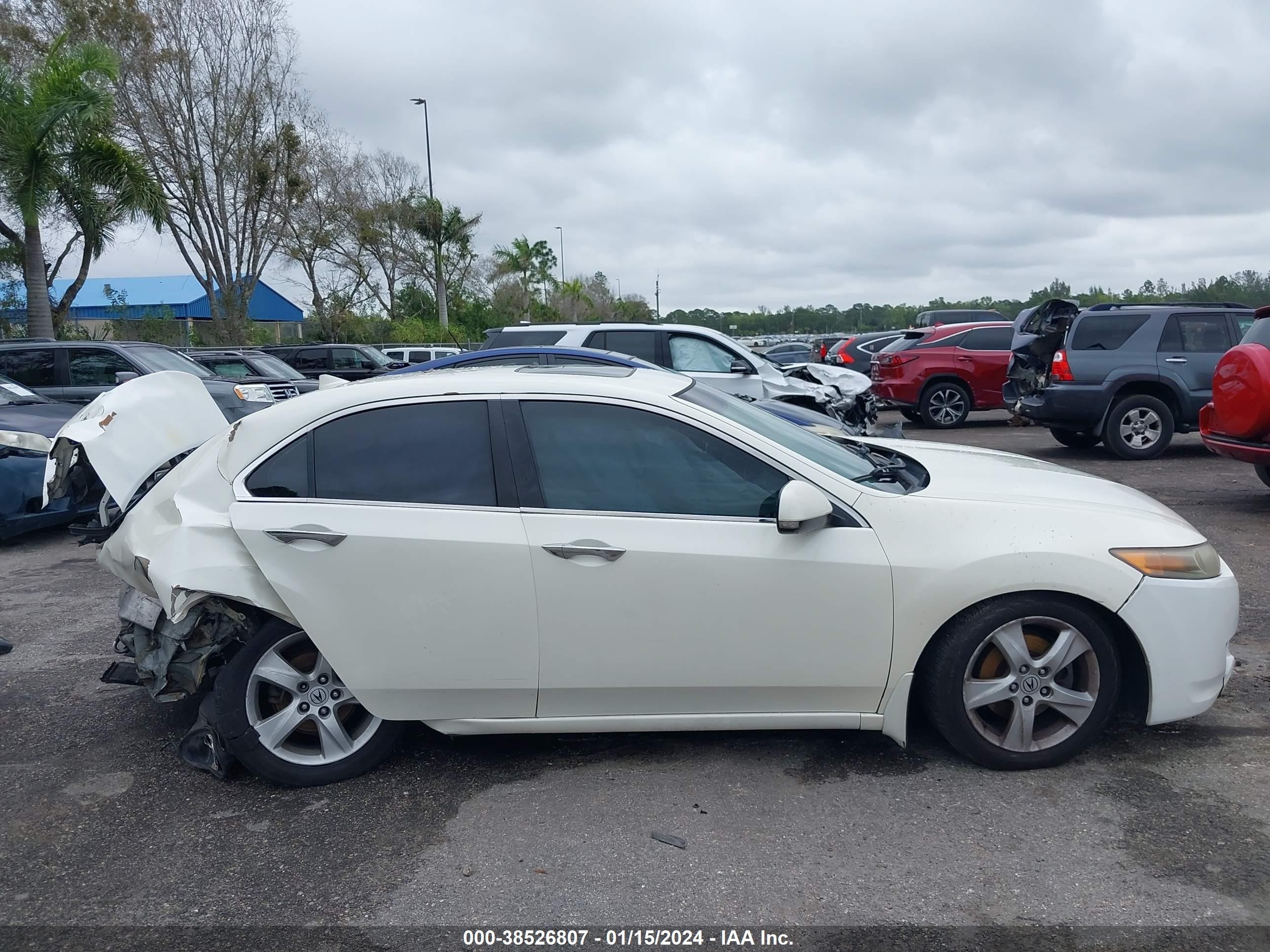 Photo 13 VIN: JH4CU26649C019055 - ACURA TSX 