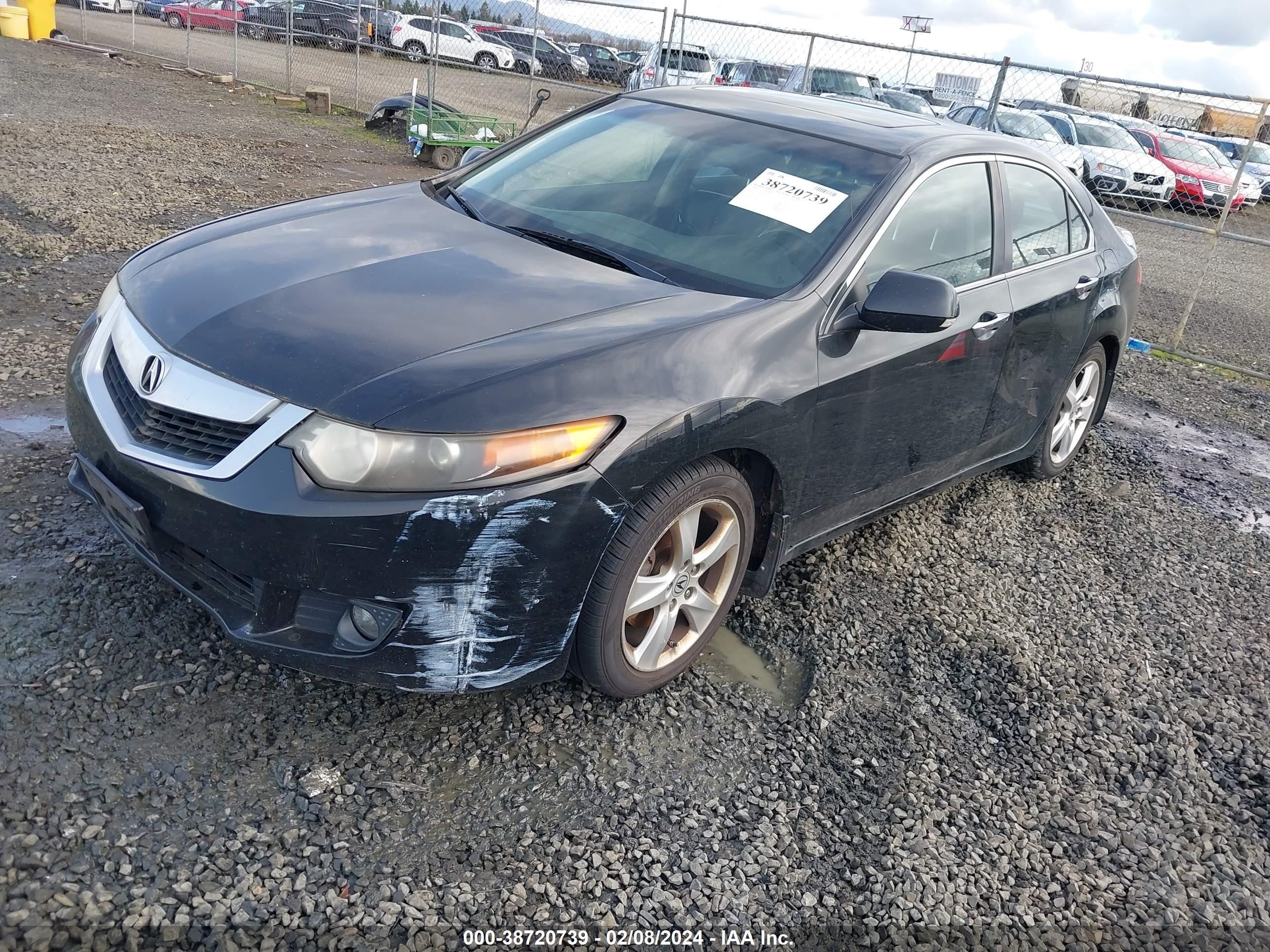 Photo 5 VIN: JH4CU26669C034379 - ACURA TSX 