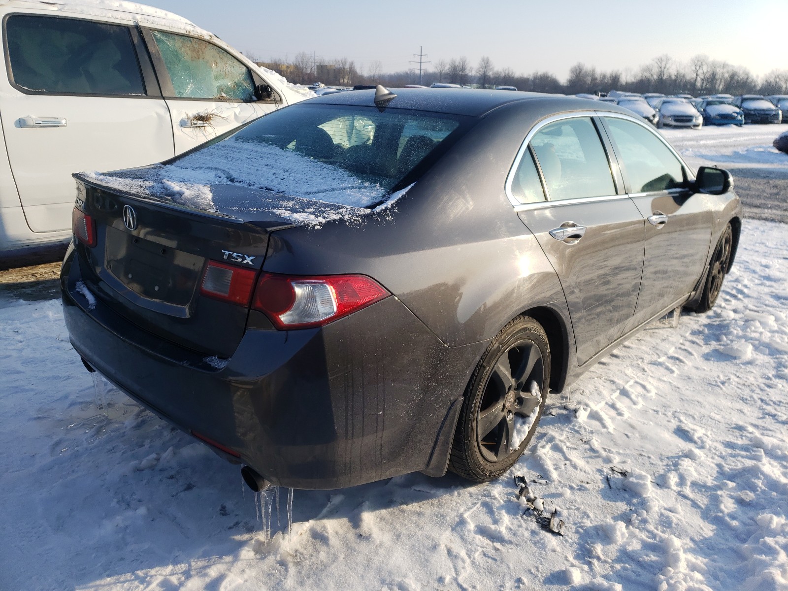 Photo 3 VIN: JH4CU26679C023410 - ACURA TSX 