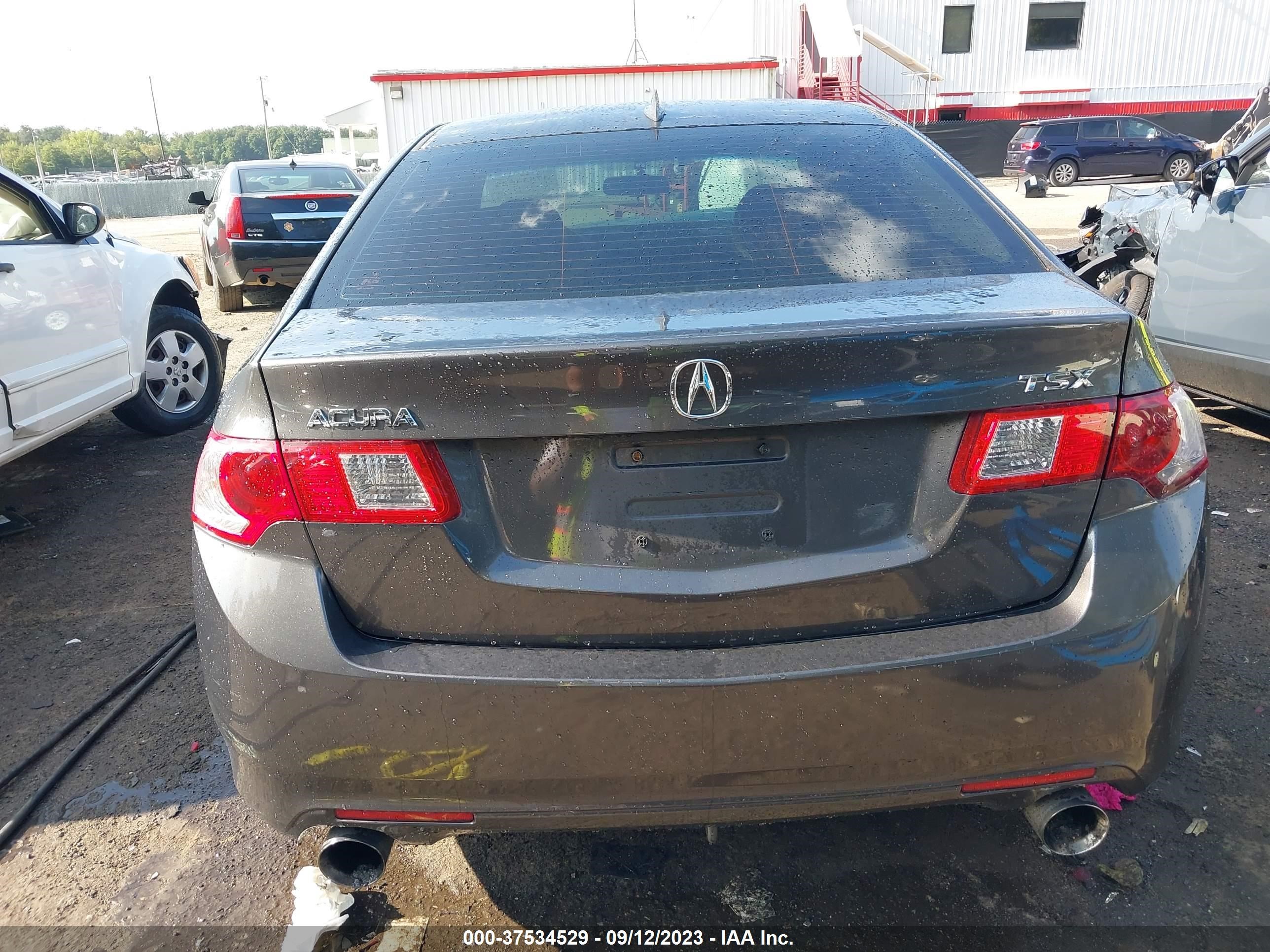 Photo 15 VIN: JH4CU26689C031287 - ACURA TSX 