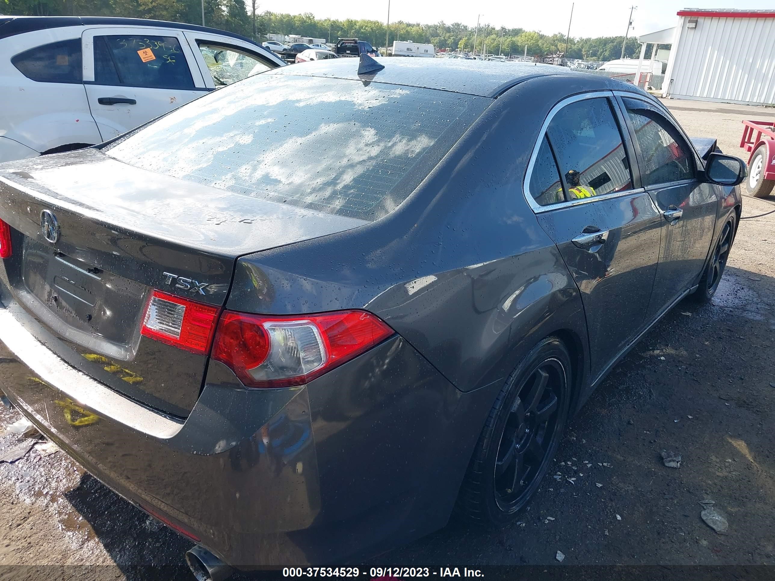 Photo 3 VIN: JH4CU26689C031287 - ACURA TSX 