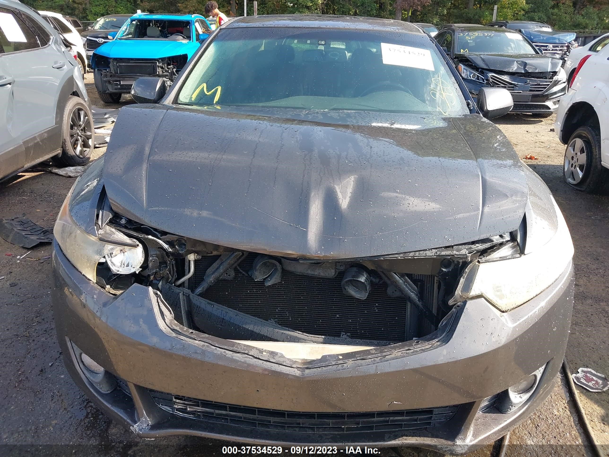 Photo 5 VIN: JH4CU26689C031287 - ACURA TSX 