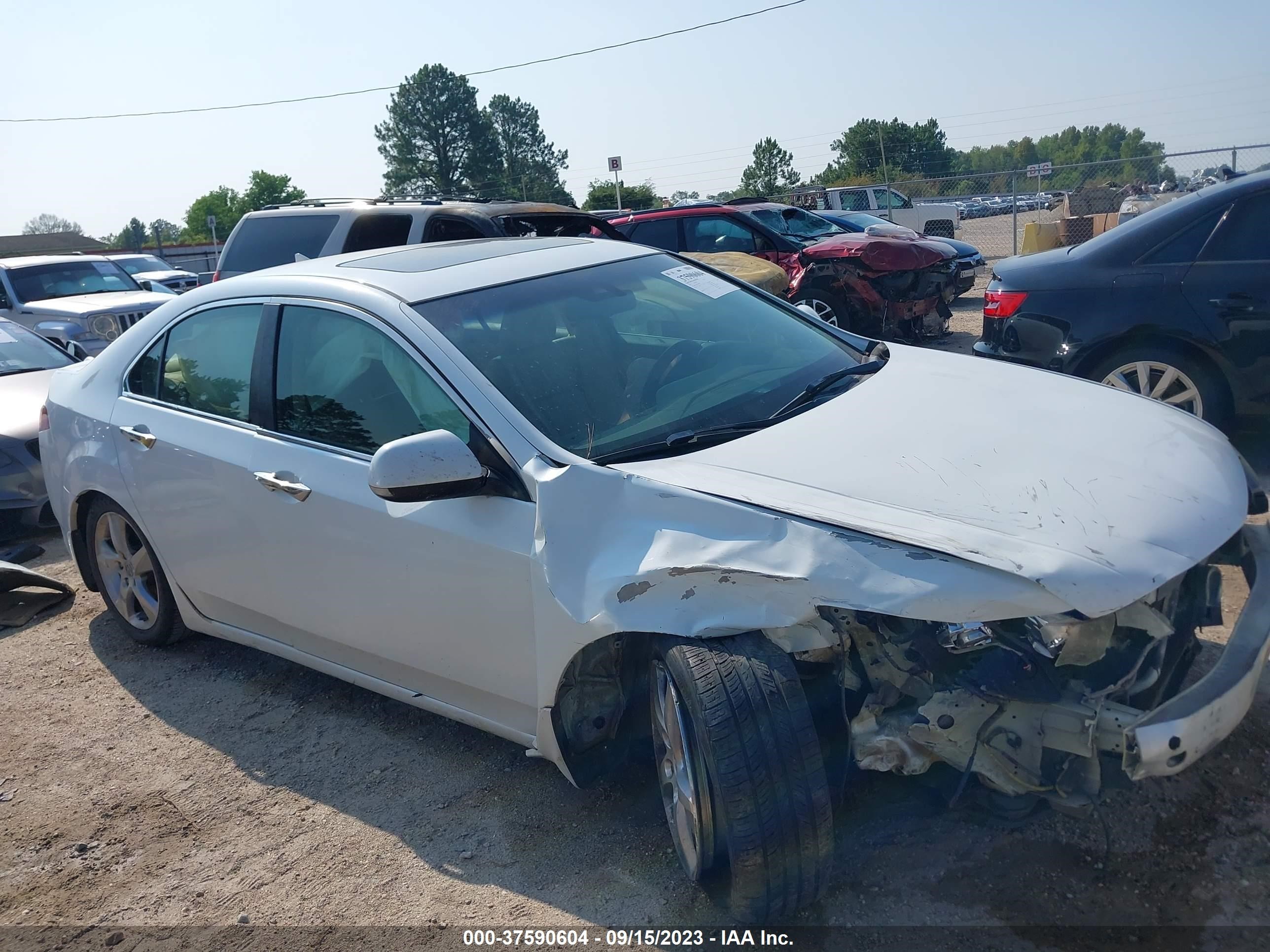 Photo 13 VIN: JH4CU2F41CC012067 - ACURA TSX 