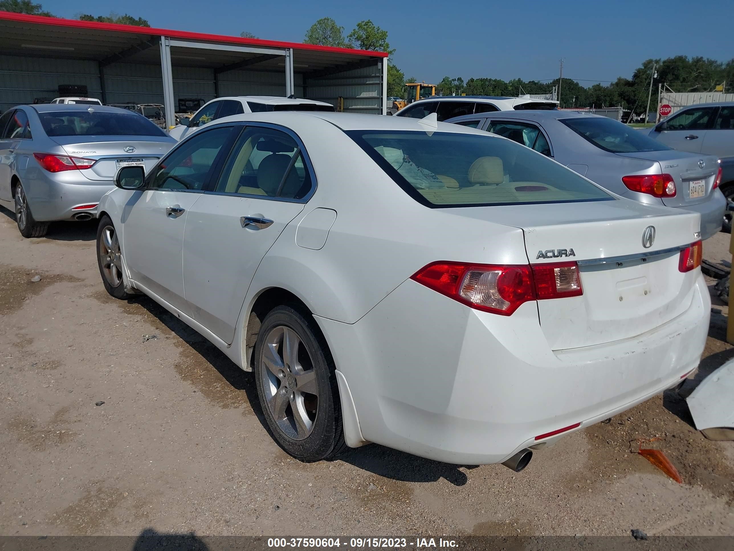 Photo 2 VIN: JH4CU2F41CC012067 - ACURA TSX 