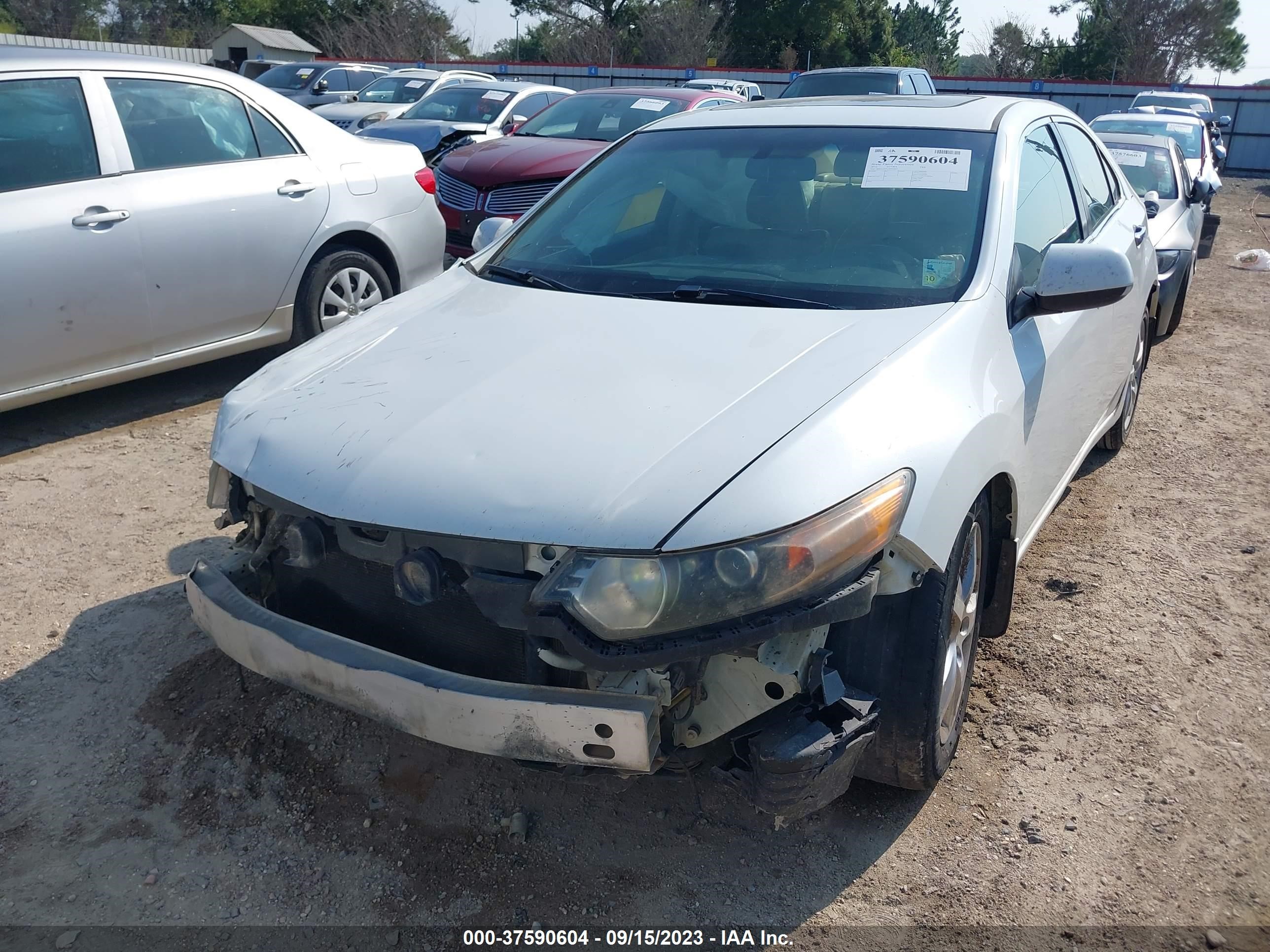 Photo 5 VIN: JH4CU2F41CC012067 - ACURA TSX 