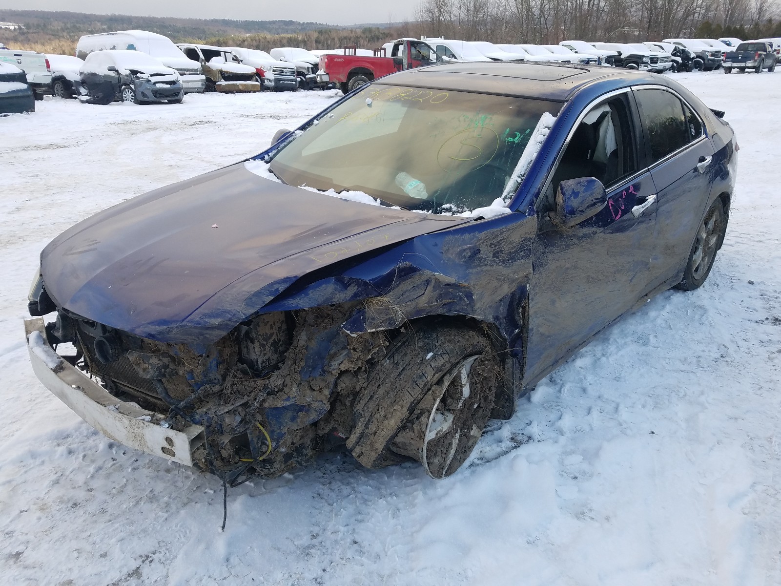 Photo 1 VIN: JH4CU2F42DC012192 - ACURA TSX 