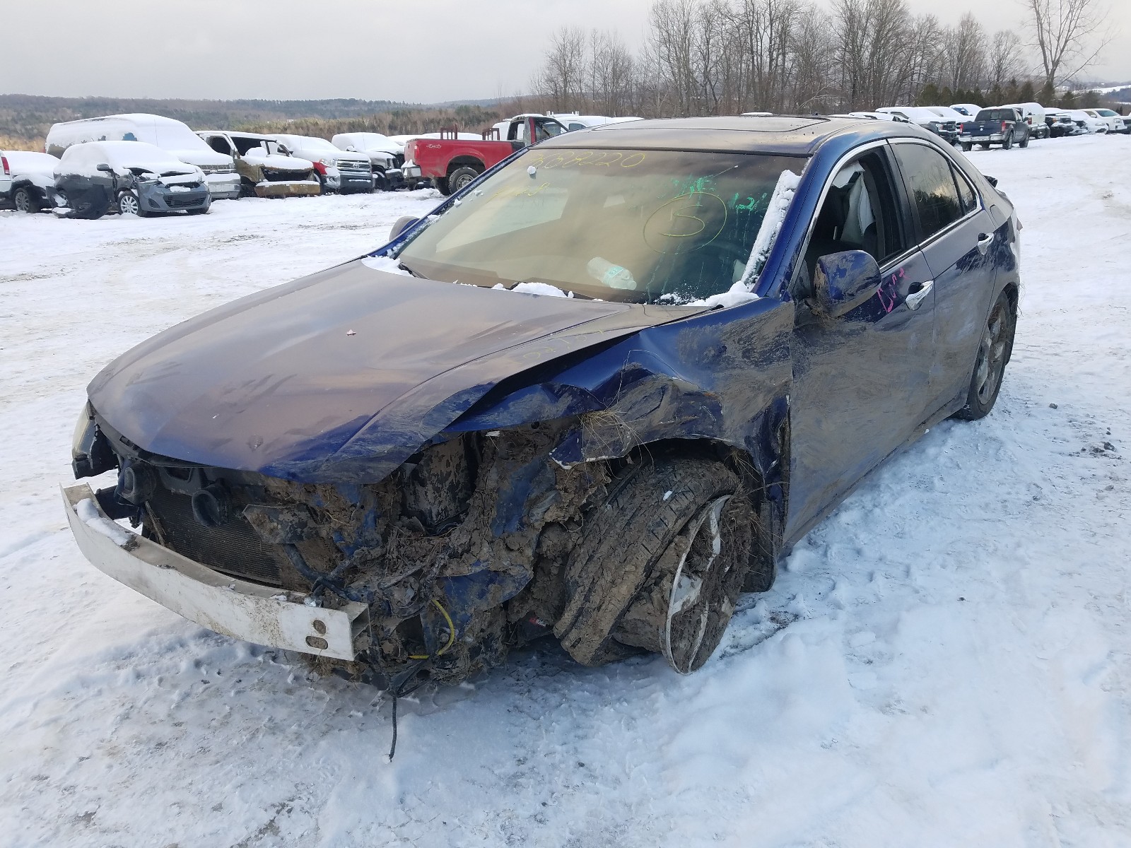 Photo 8 VIN: JH4CU2F42DC012192 - ACURA TSX 